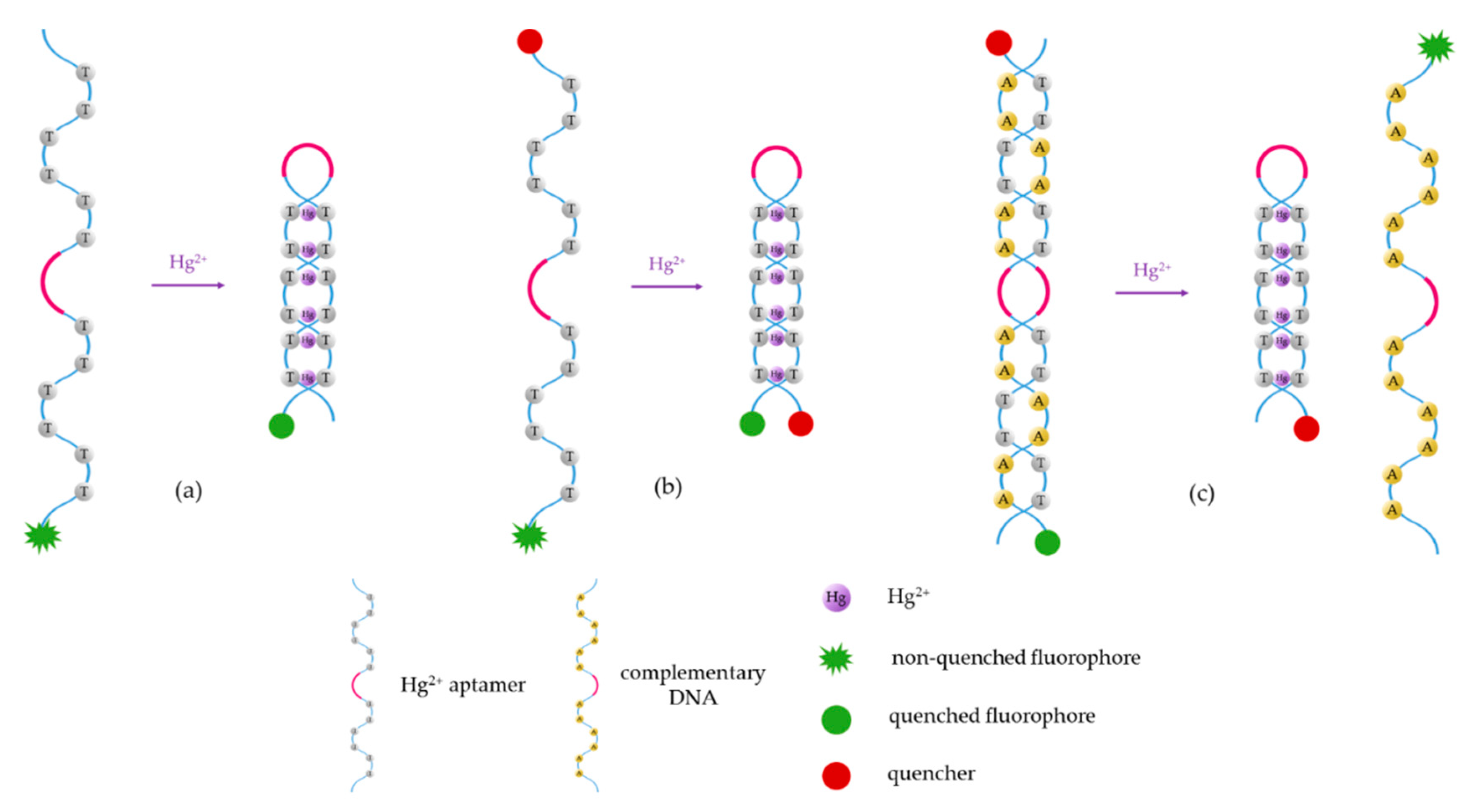 Sensors 19 00599 g003 Sensors 19 00599 g003