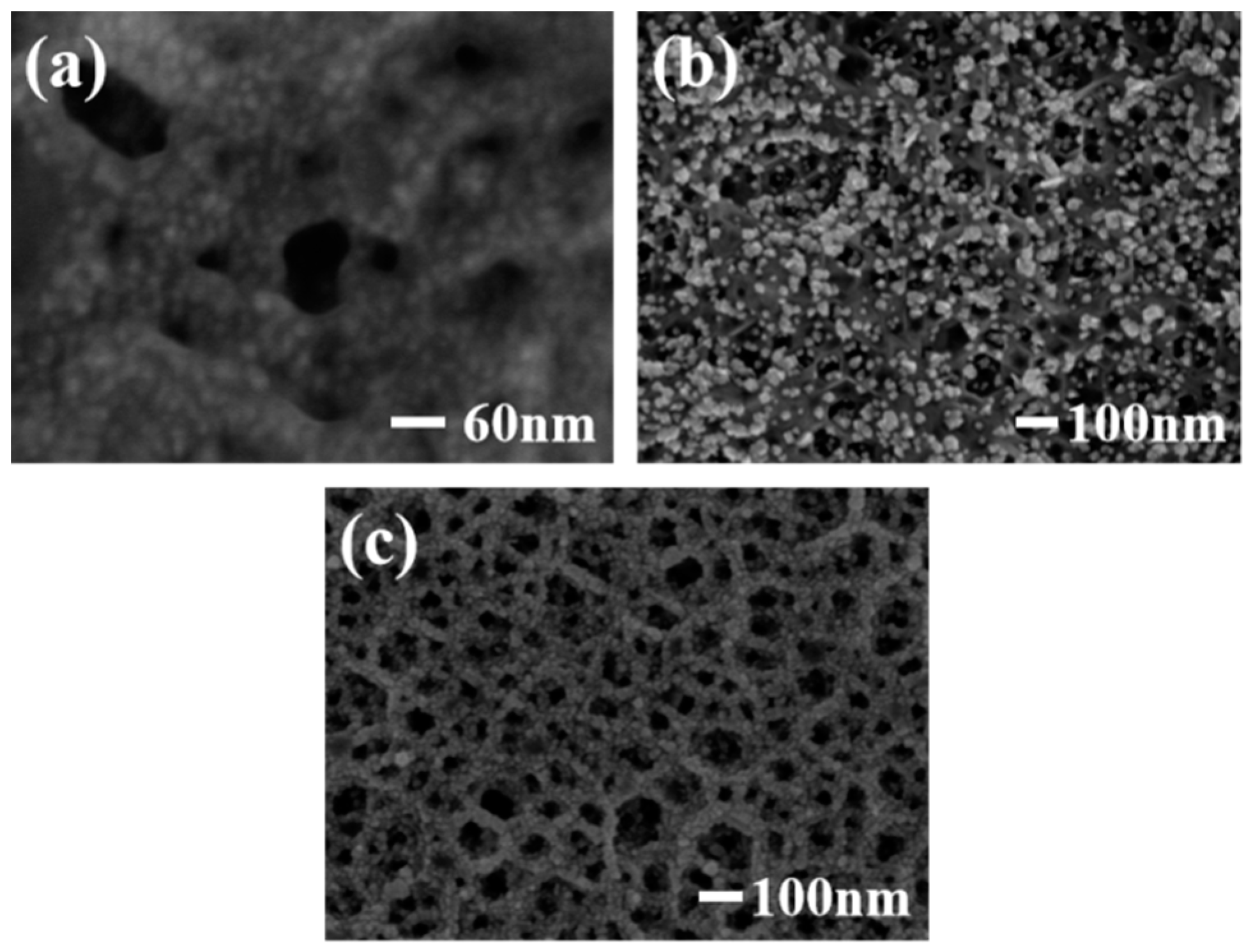 Sensors 19 00606 g002