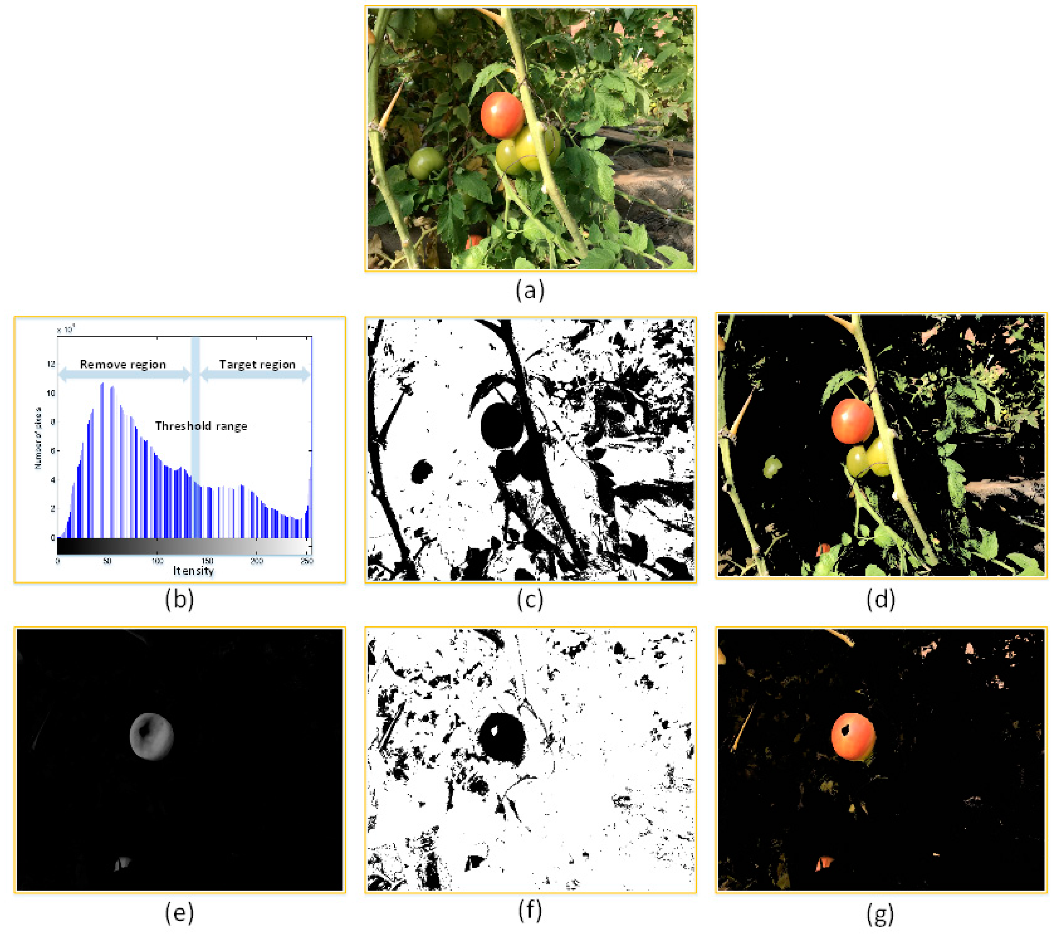 Sensors 19 00612 g006