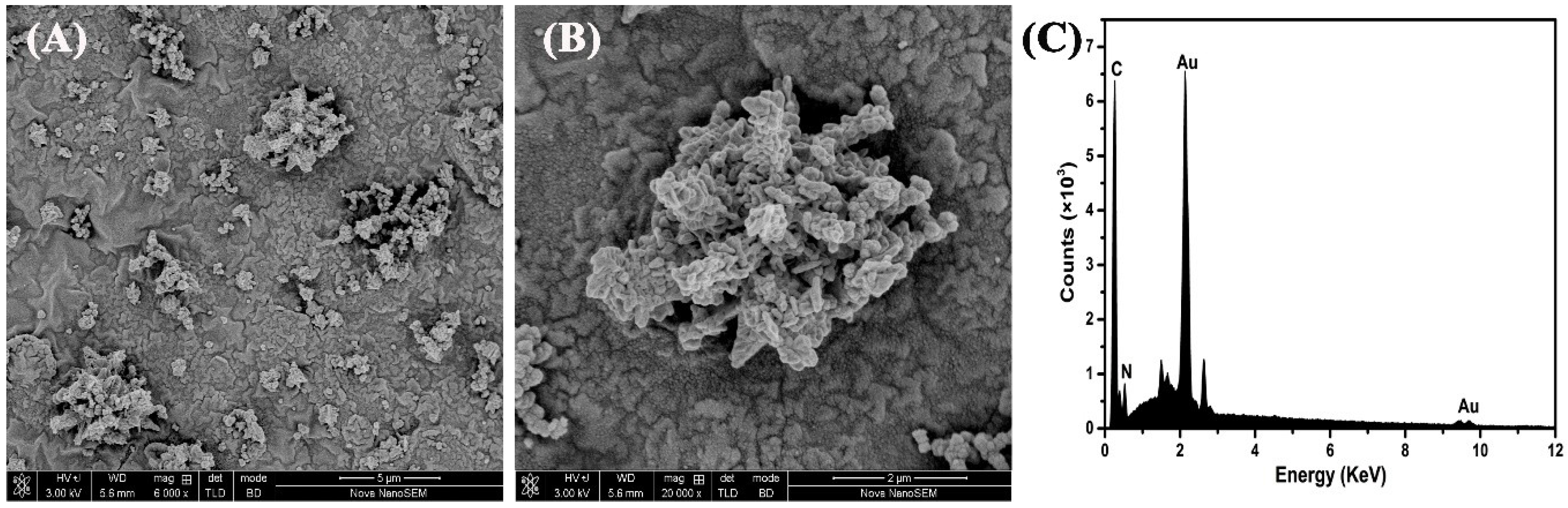 Sensors 19 00640 g005 550