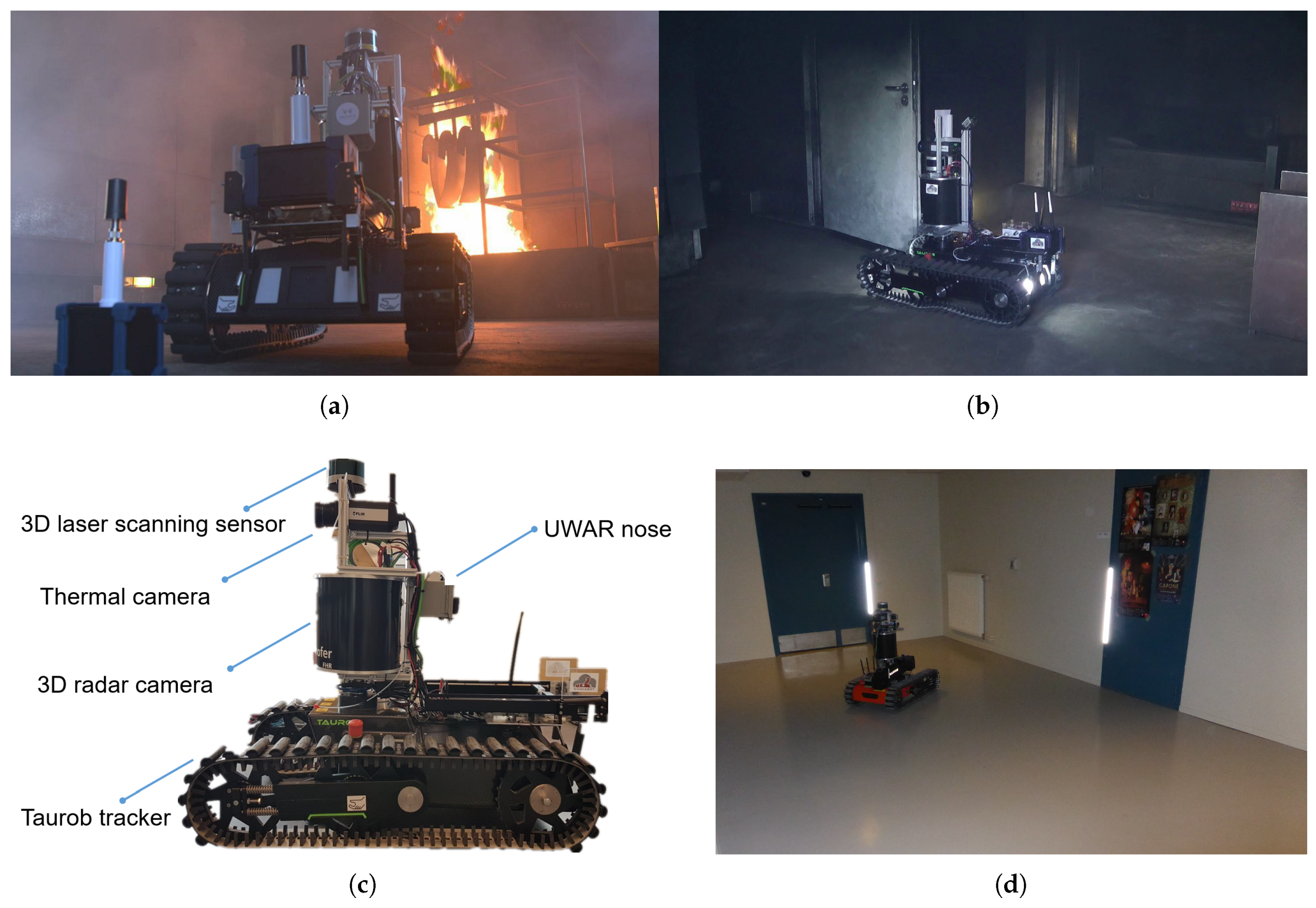 Sensors 19 00685 g008 550