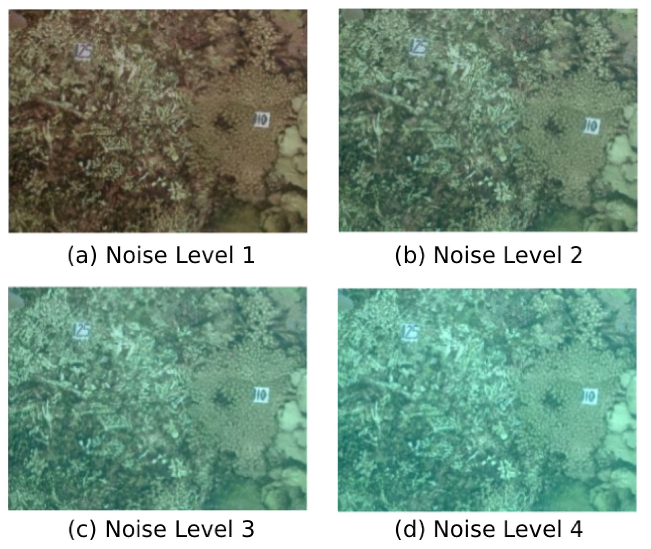 Sensors 19 00687 g006 550