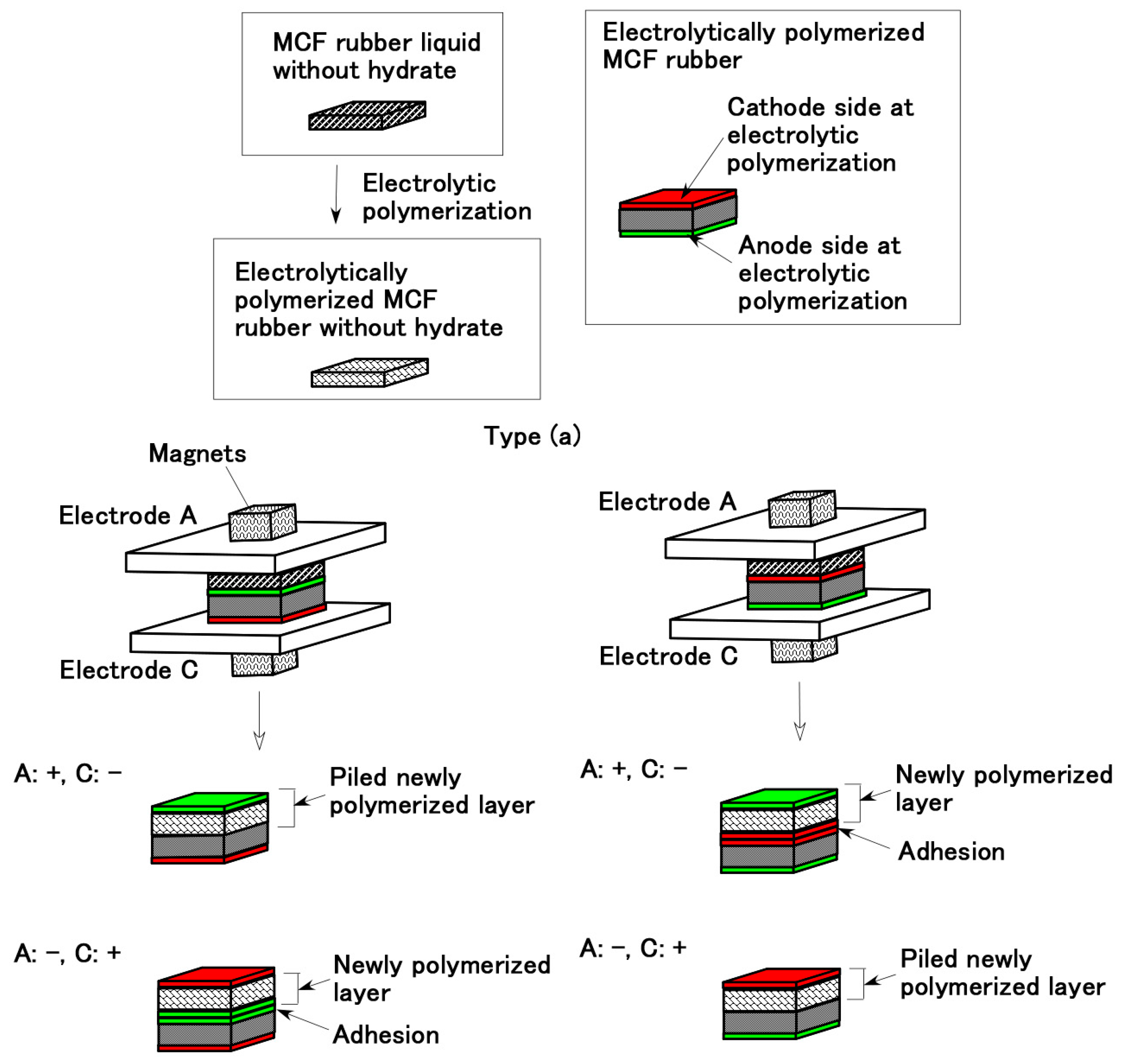 adhesion