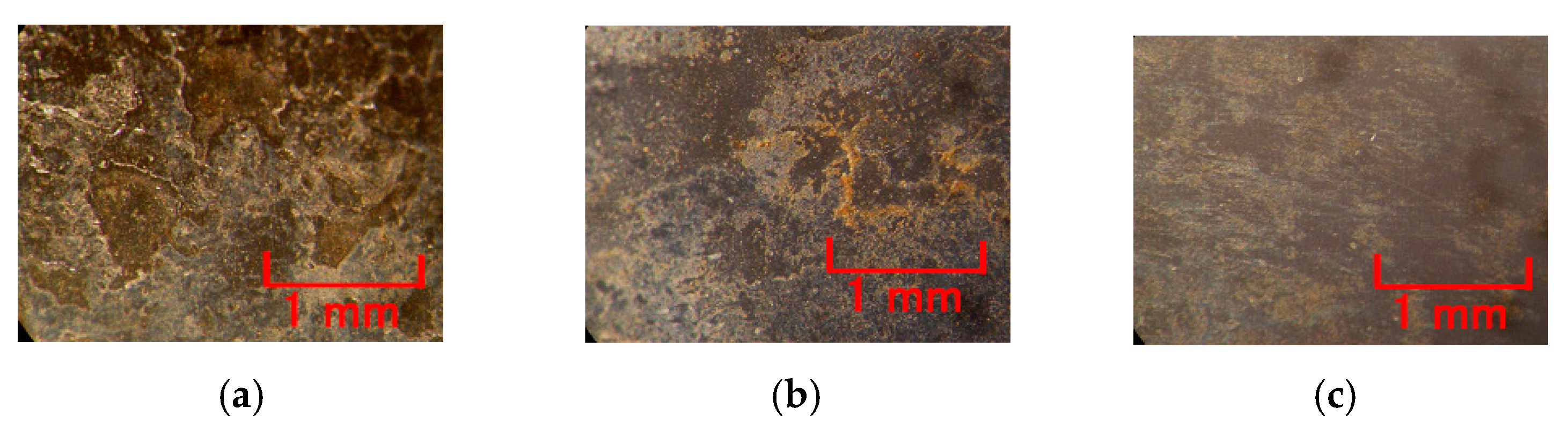 Sensors 19 00689 g006 550