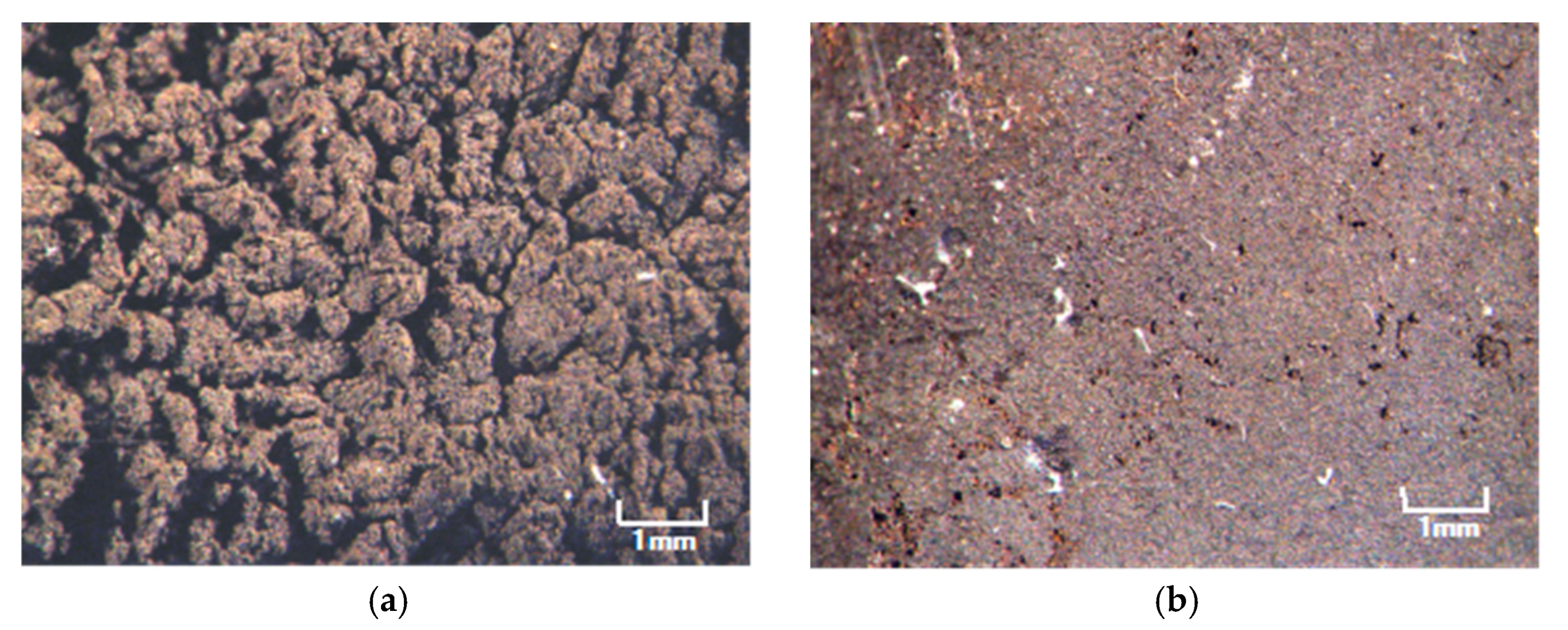 Sensors 19 00689 g0a1 550