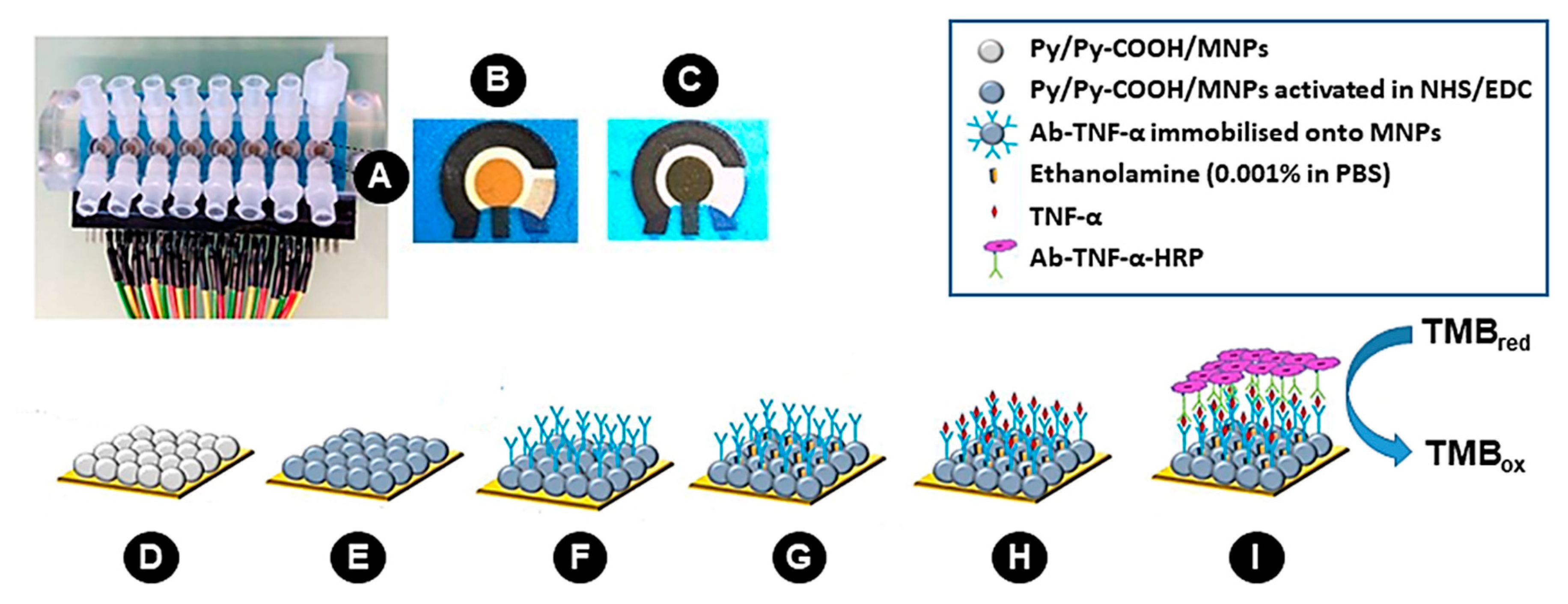 Sensors 19 00692 g001 550
