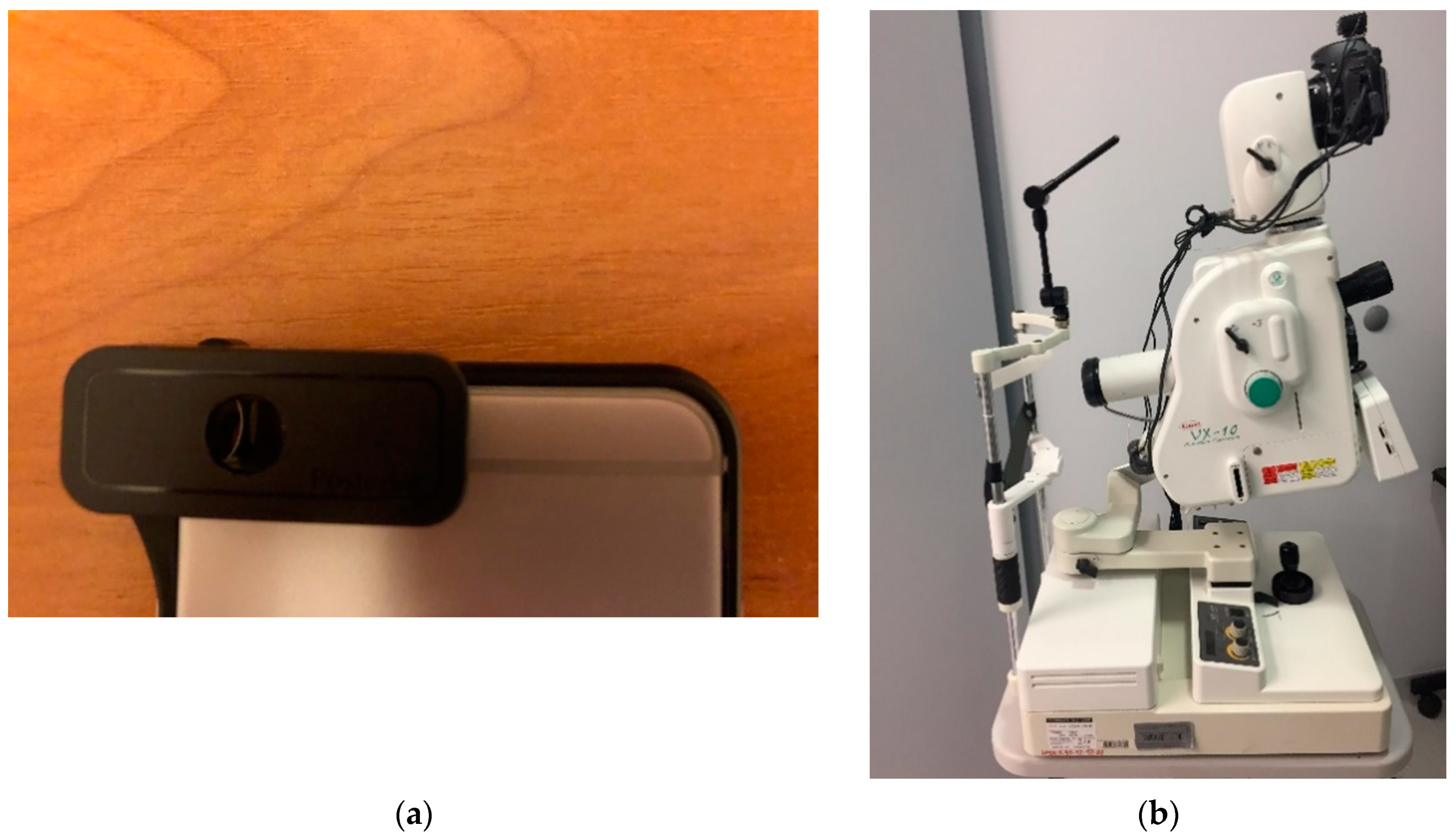 Sensors 19 00695 g002a 550