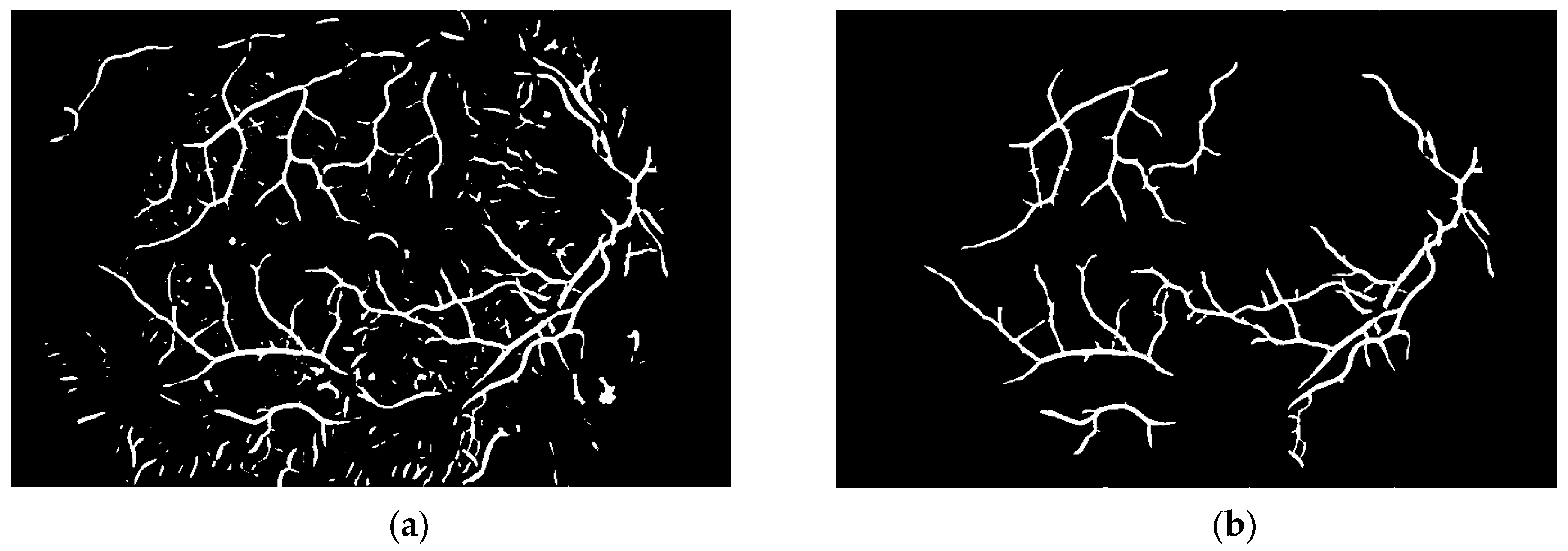 Sensors 19 00695 g013 550