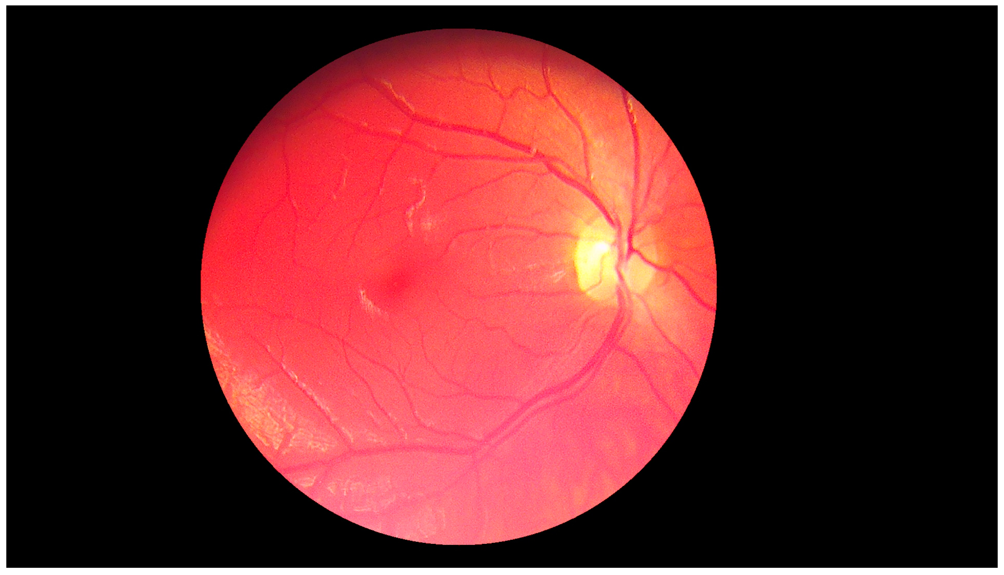 Sensors 19 00695 g019 550