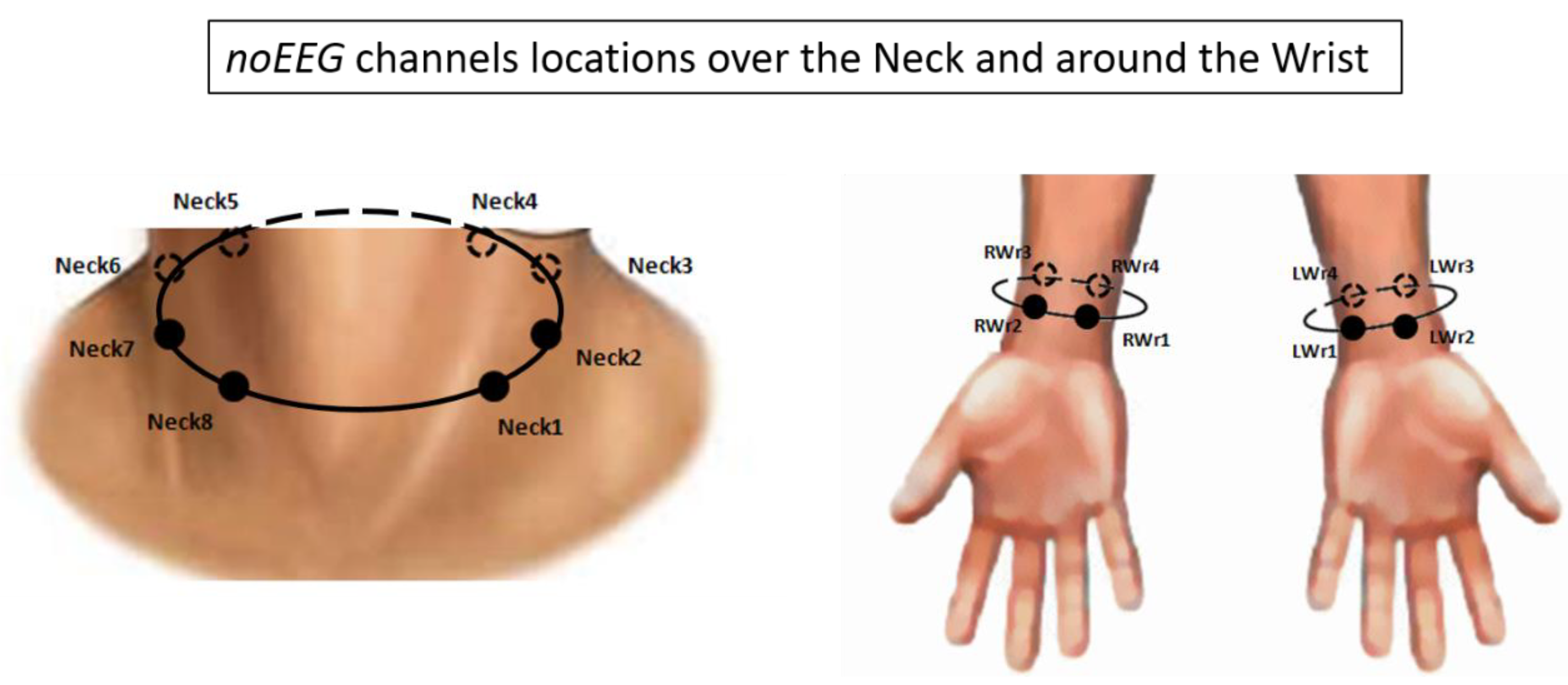 Sensors 19 00704 g002