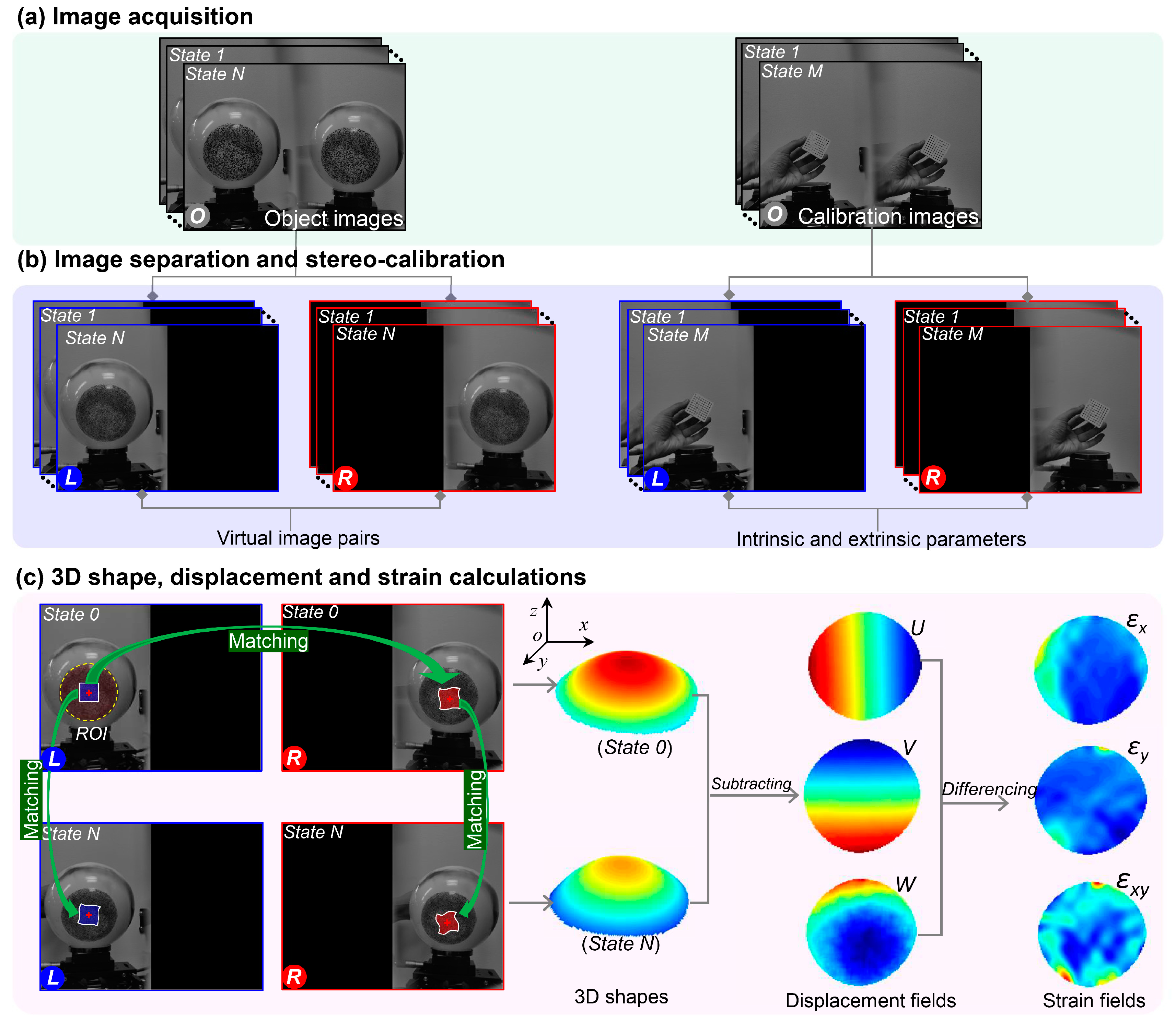Sensors 19 00719 g002