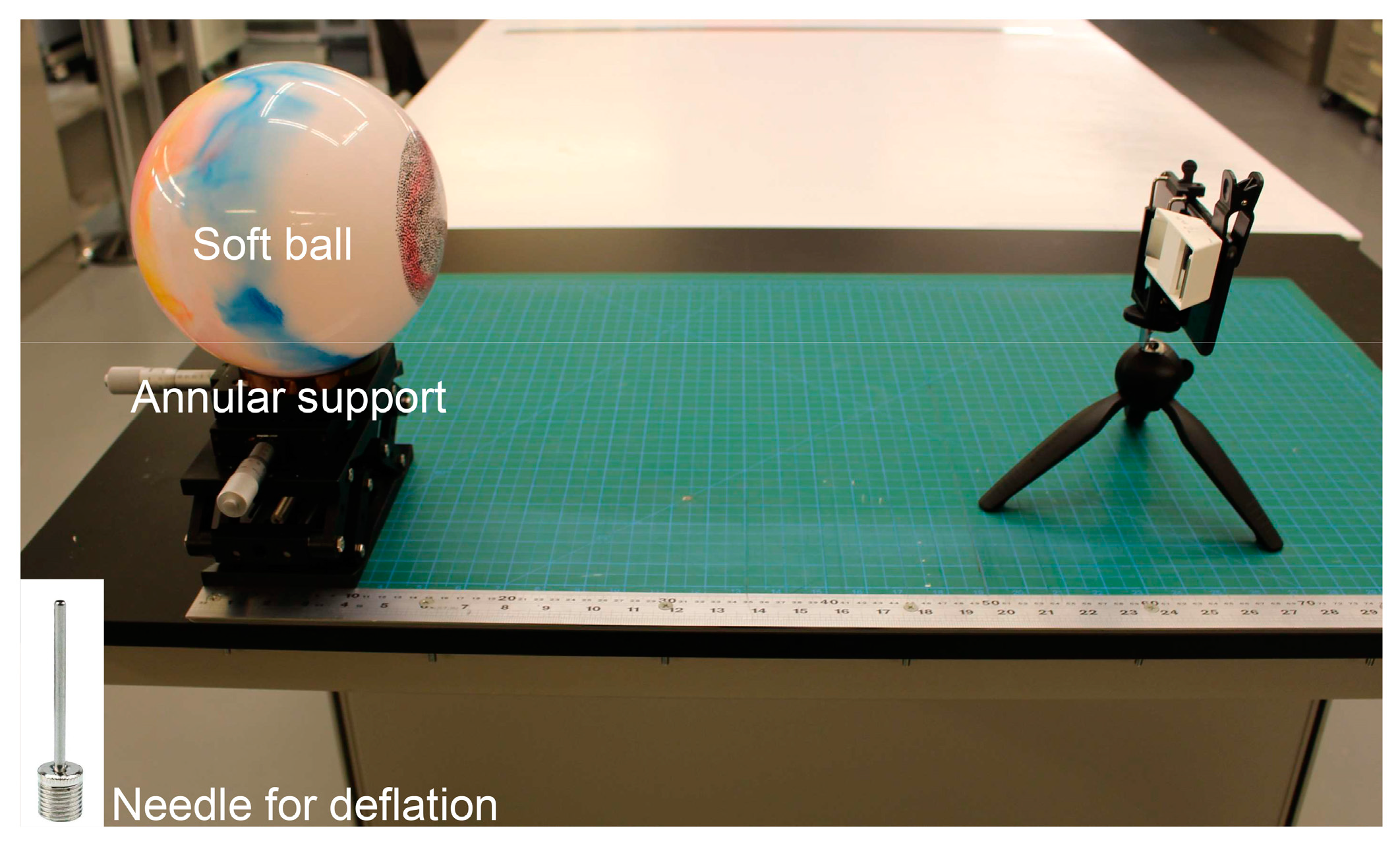 Sensors 19 00719 g013
