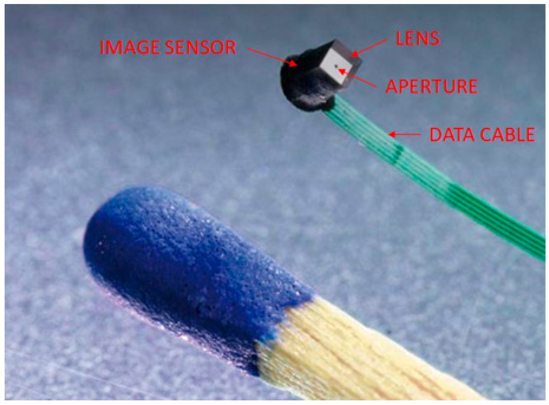 Sensors 19 00739 g002 550