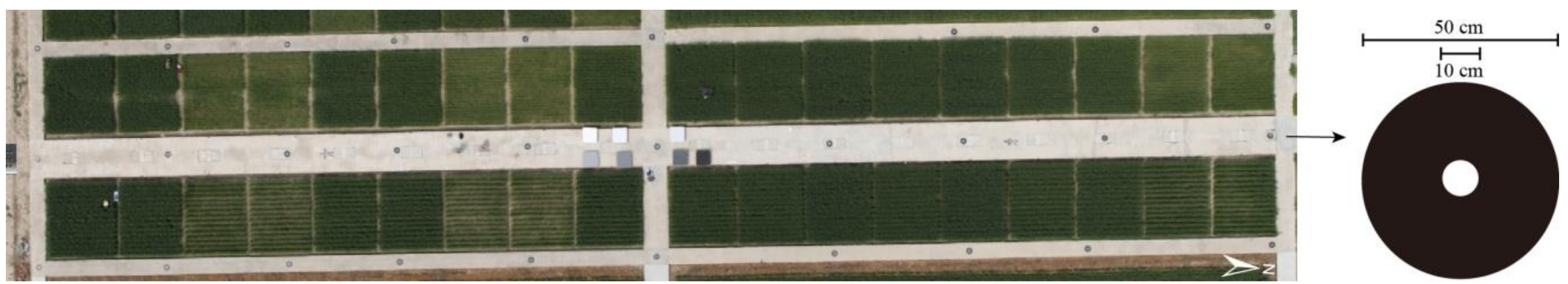 Sensors 19 00747 g004