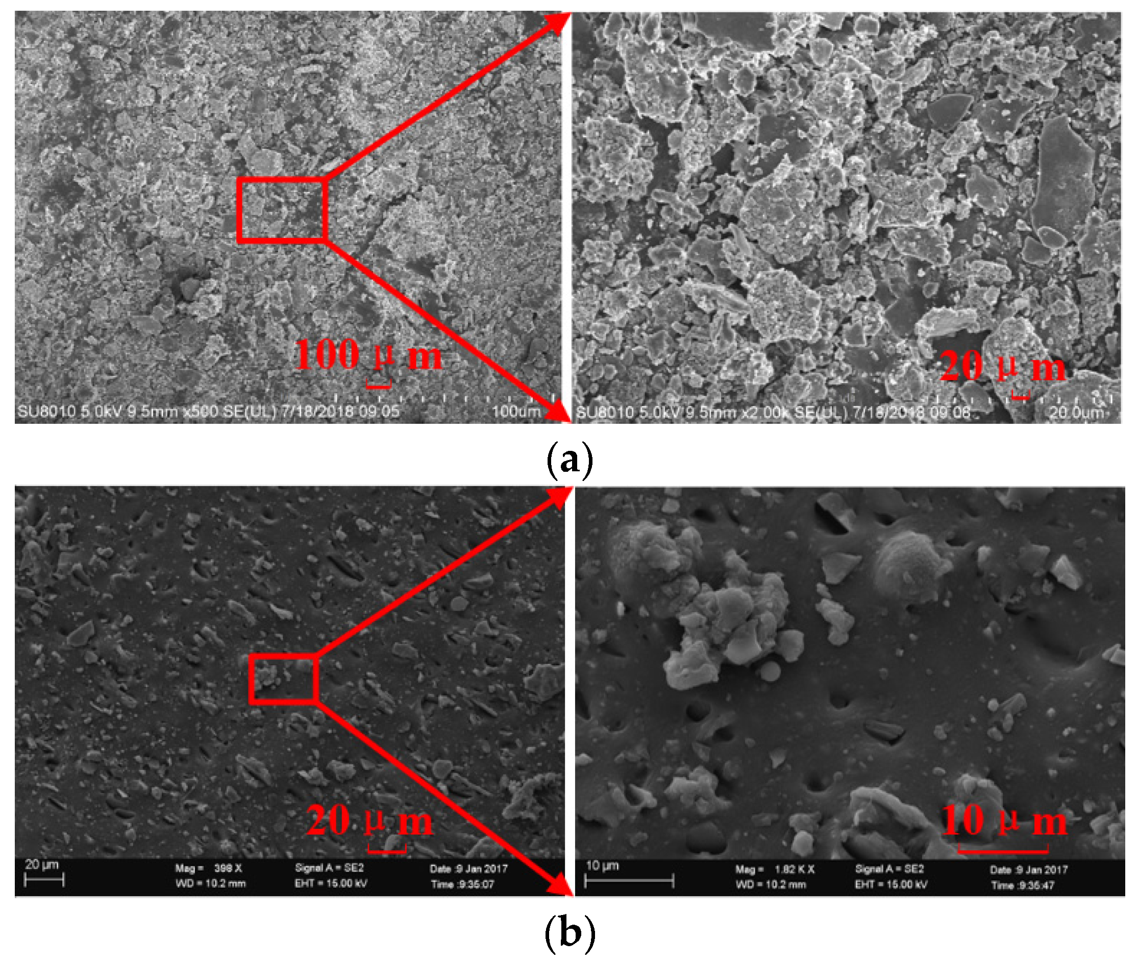 Sensors 19 00778 g019
