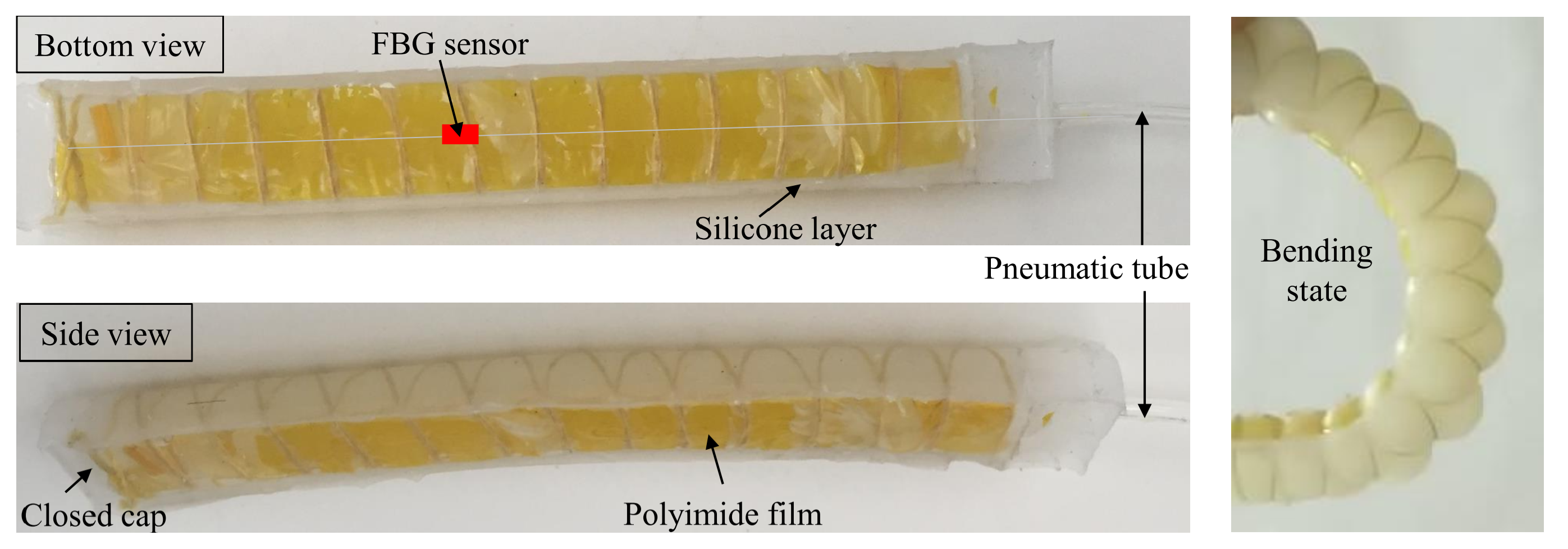 Sensors 19 00790 g008