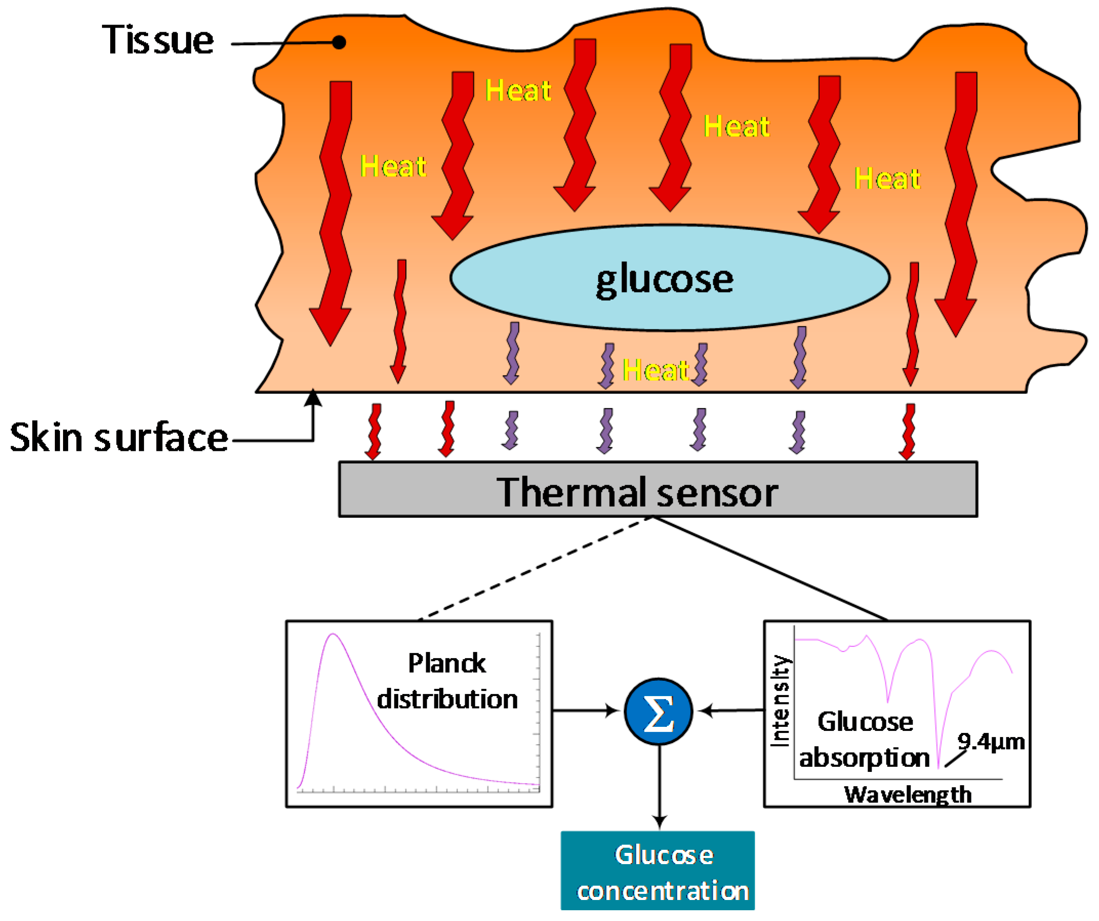 Sensors Free Full Text The Progress Of Glucose Monitoring A Sensors 19 00800 G011
