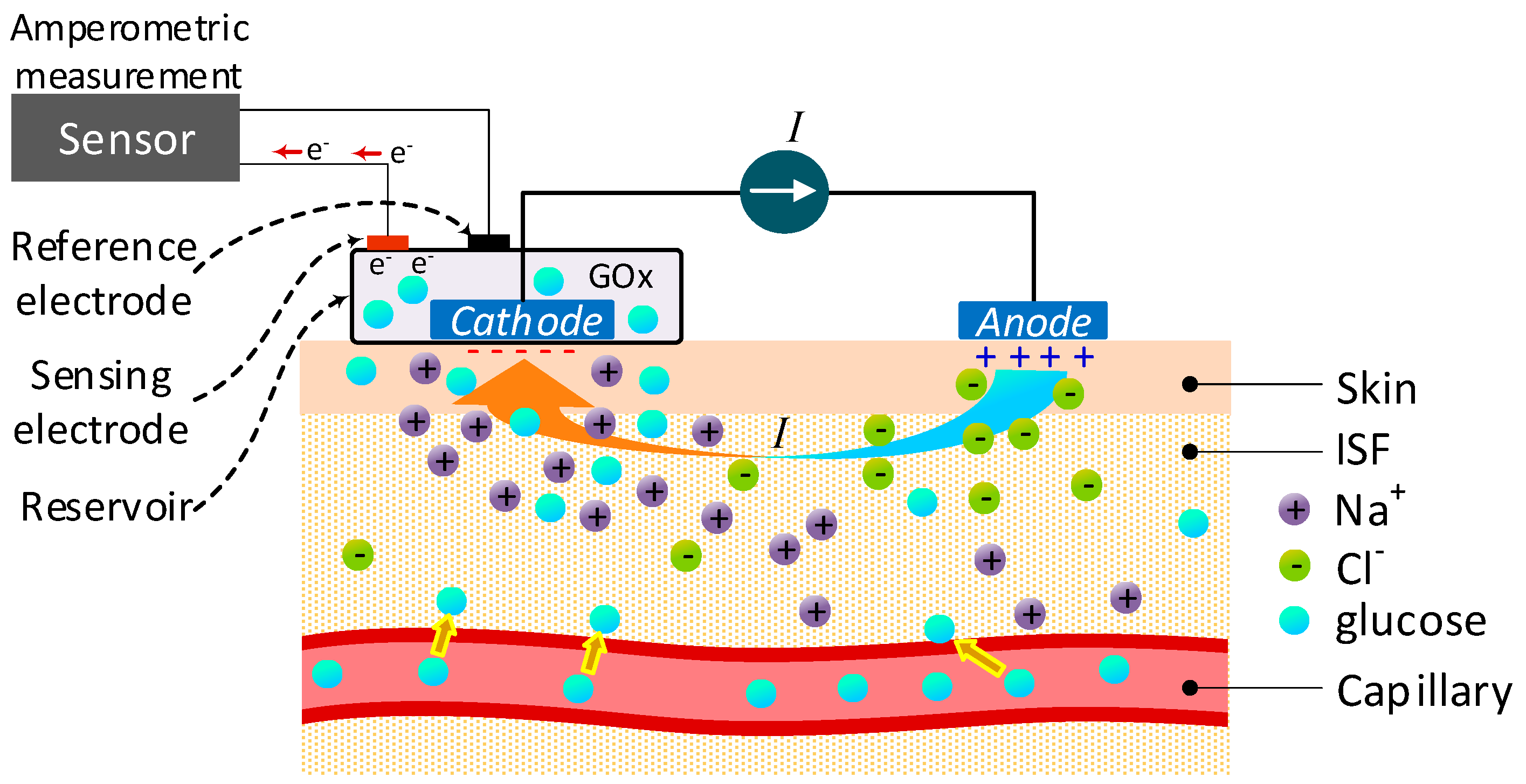 Sensors Free Full Text The Progress Of Glucose Monitoring A Sensors 19 00800 G015