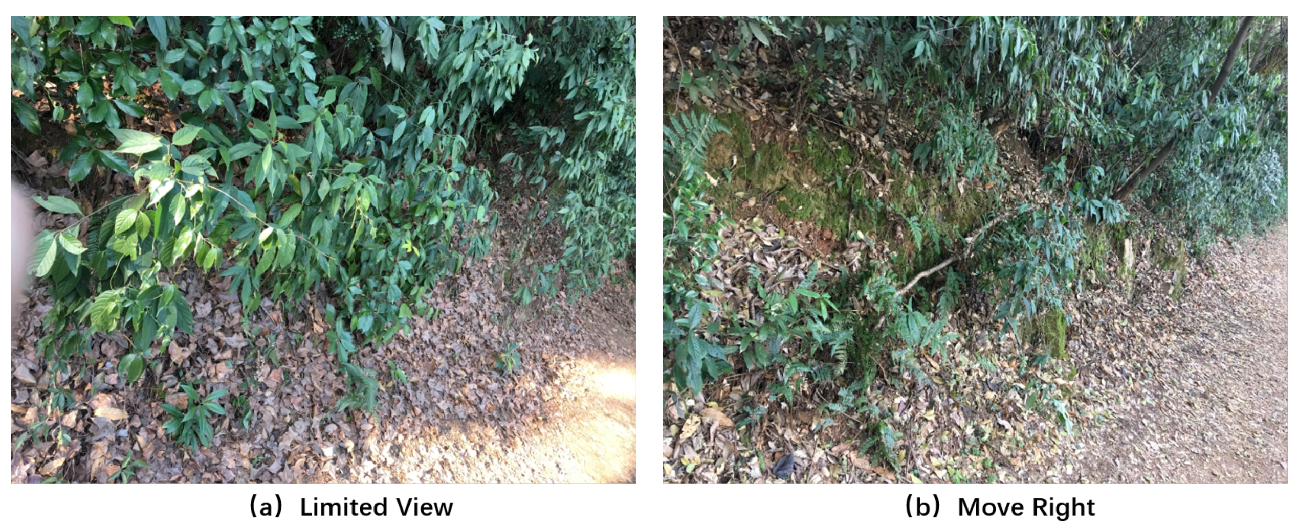 Sensors 19 00823 g001 550