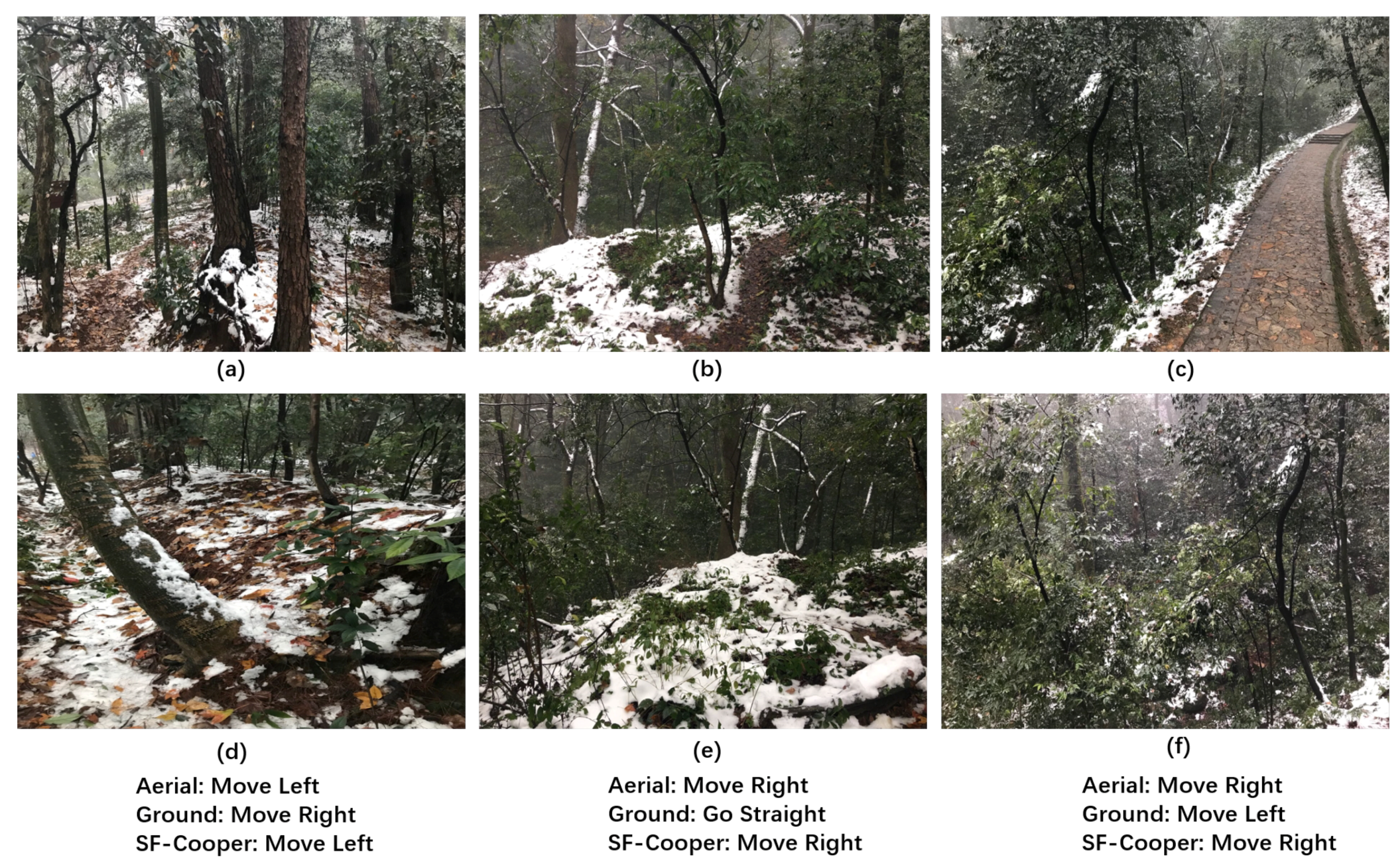 Sensors 19 00823 g008 550