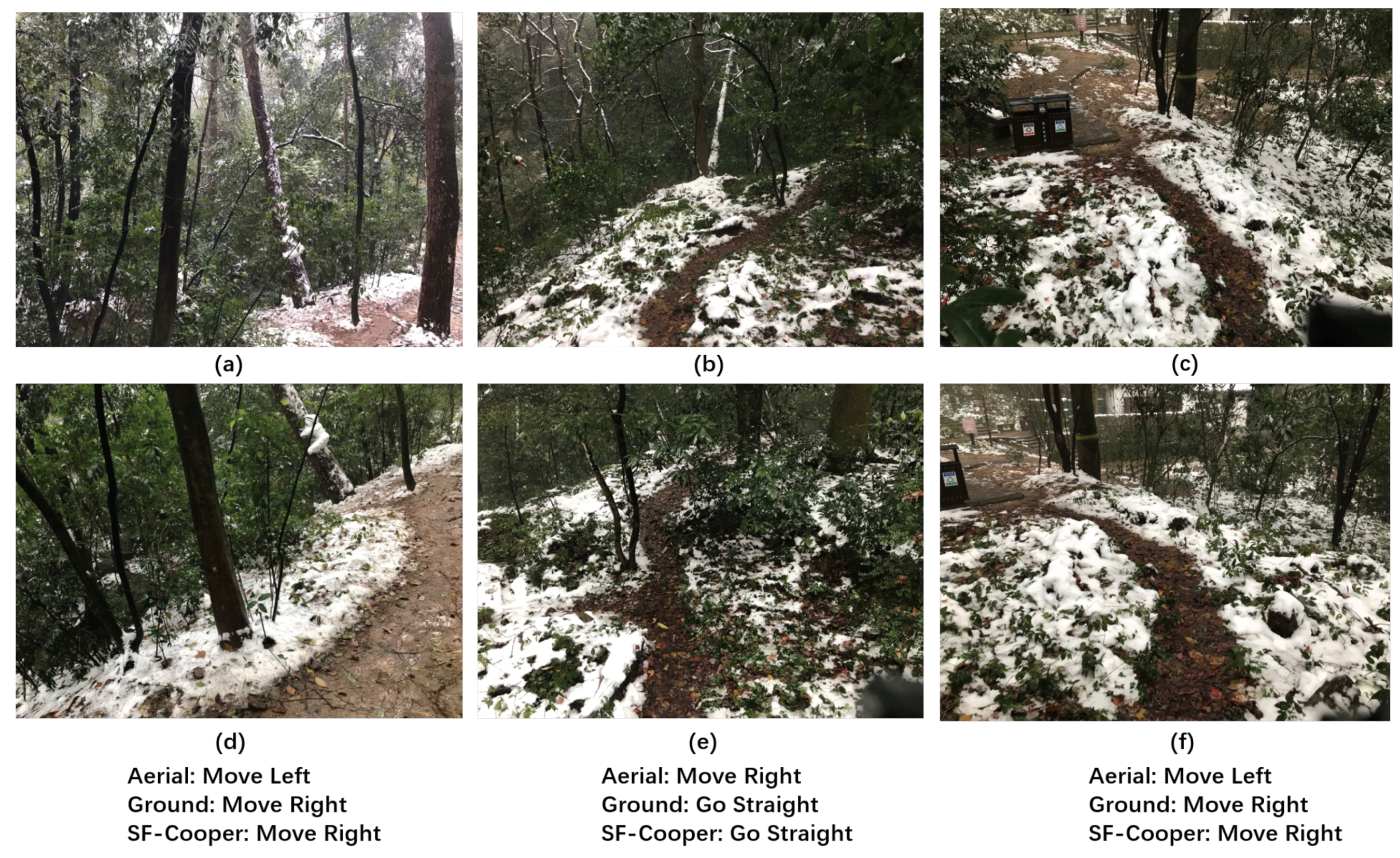 Sensors 19 00823 g009 550