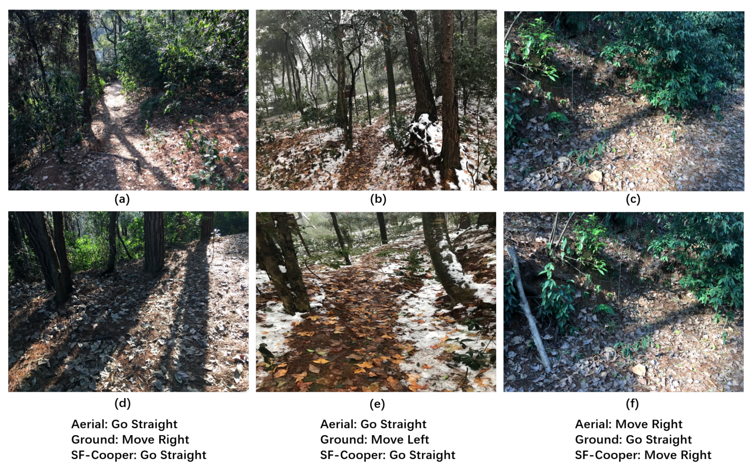 Sensors 19 00823 g010 550
