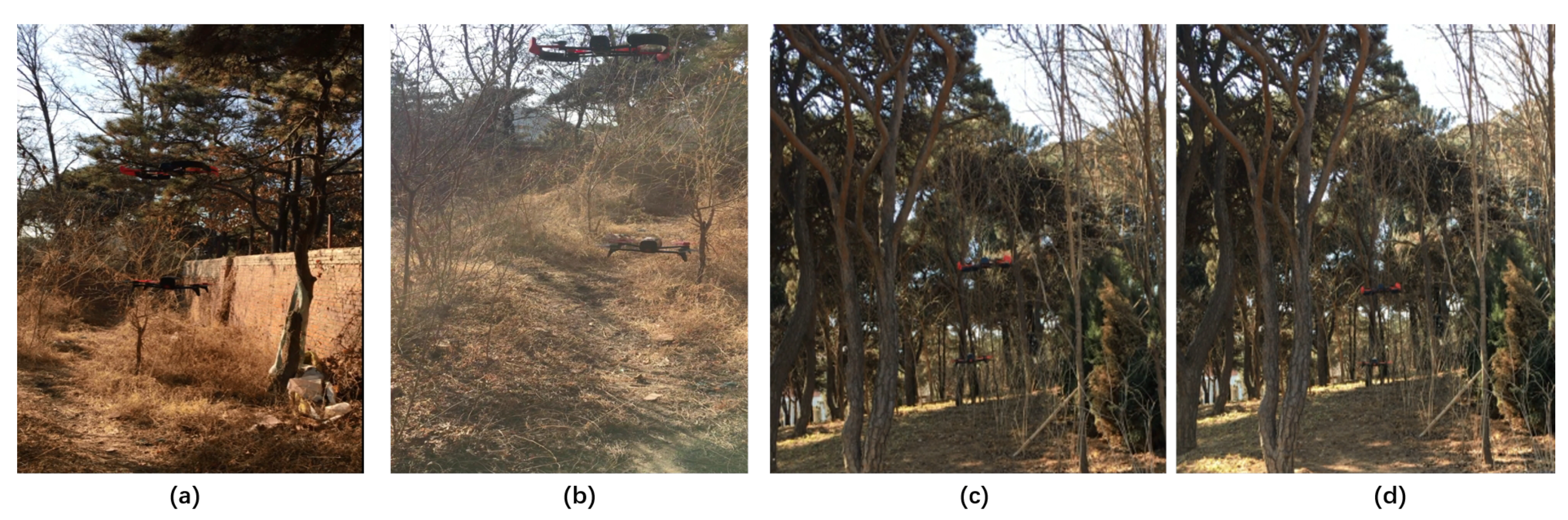 Sensors 19 00823 g011 550