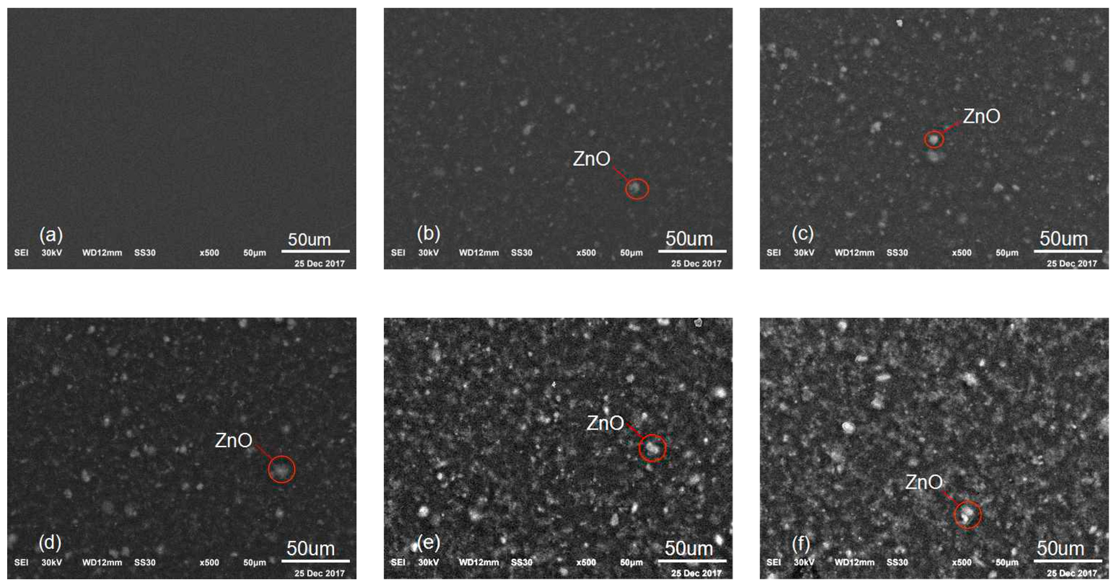 Sensors 19 00830 g007
