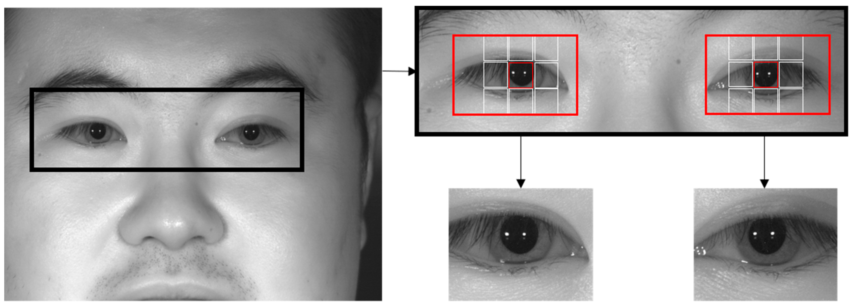 Sensors 19 00842 g003 Sensors 19 00842 g003