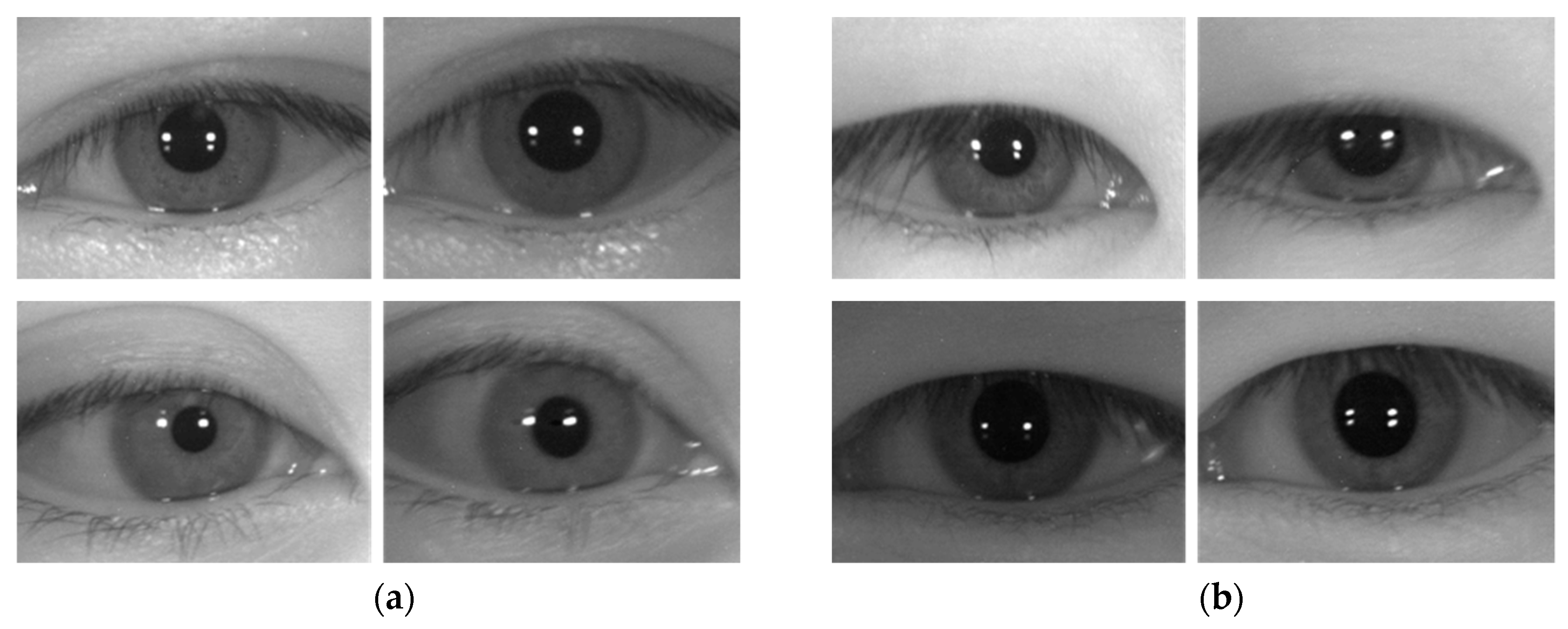 Sensors 19 00842 g009a Sensors 19 00842 g009a