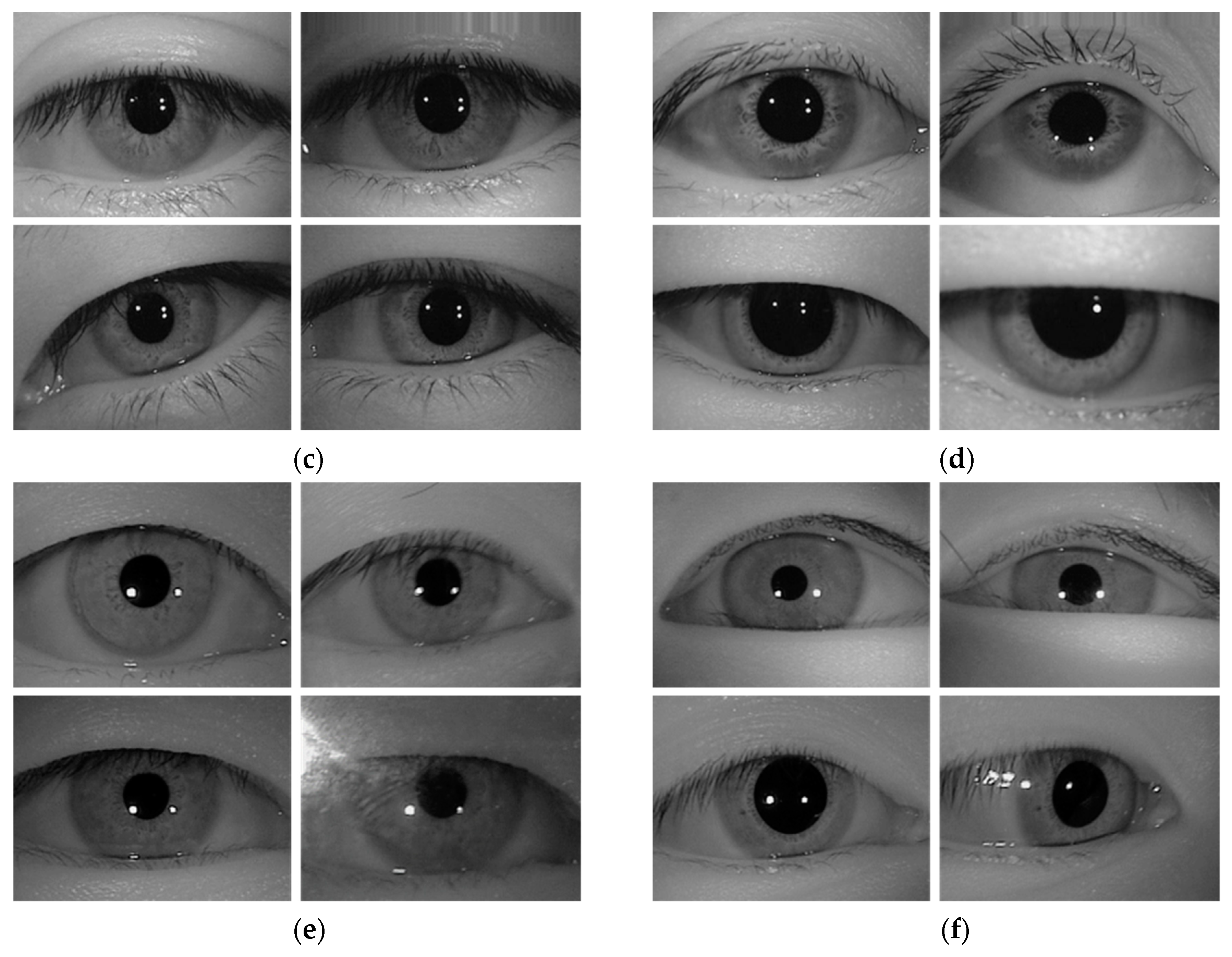 Sensors 19 00842 g009b Sensors 19 00842 g009b