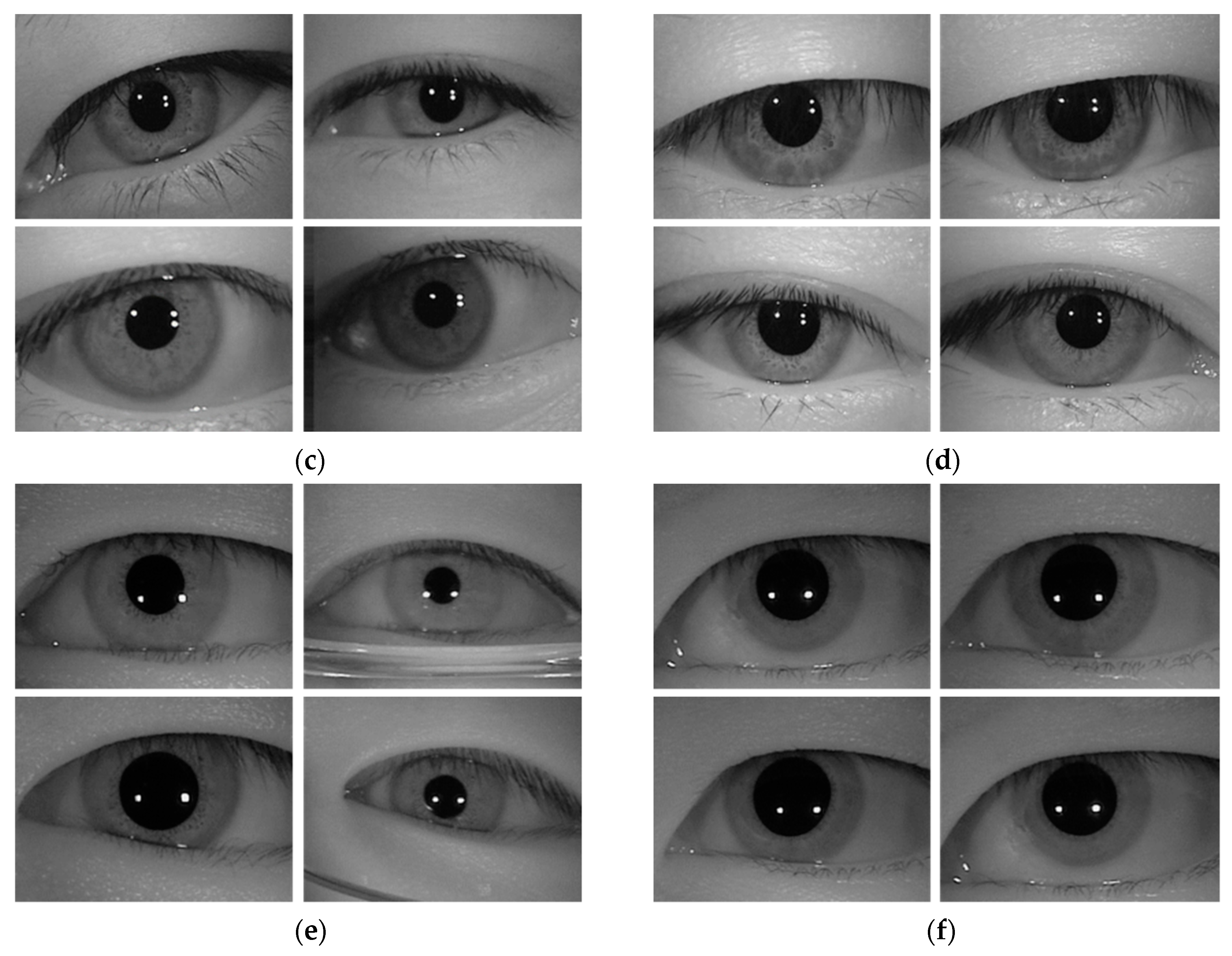 Sensors 19 00842 g010b Sensors 19 00842 g010b