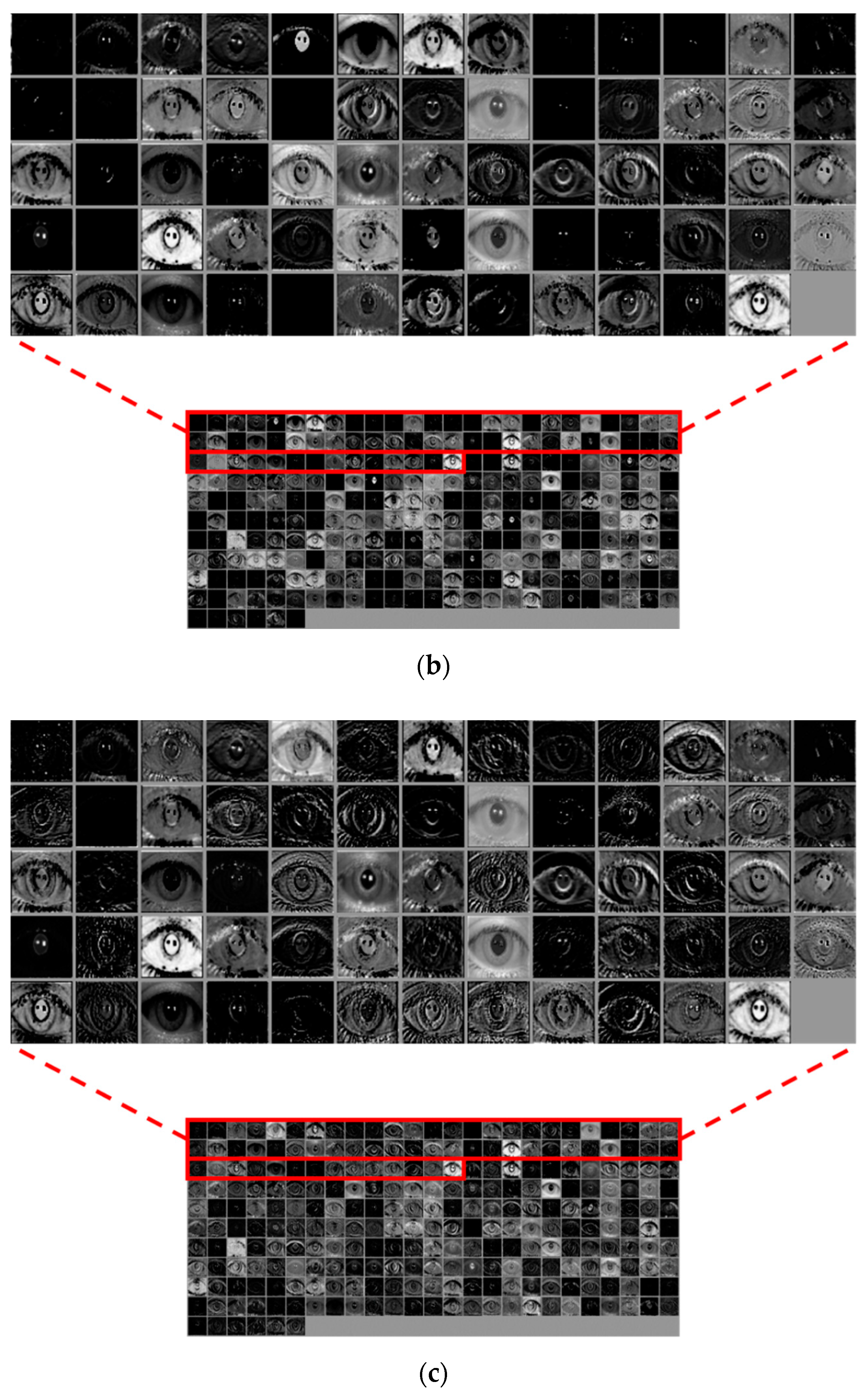Sensors 19 00842 g012b Sensors 19 00842 g012b