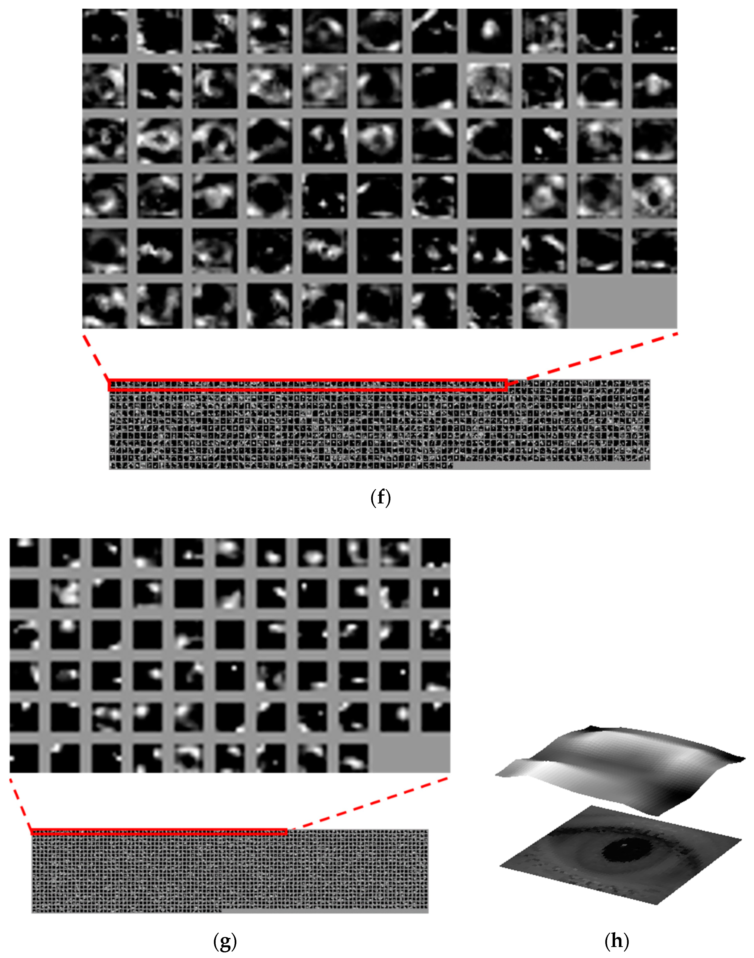 Sensors 19 00842 g012d Sensors 19 00842 g012d