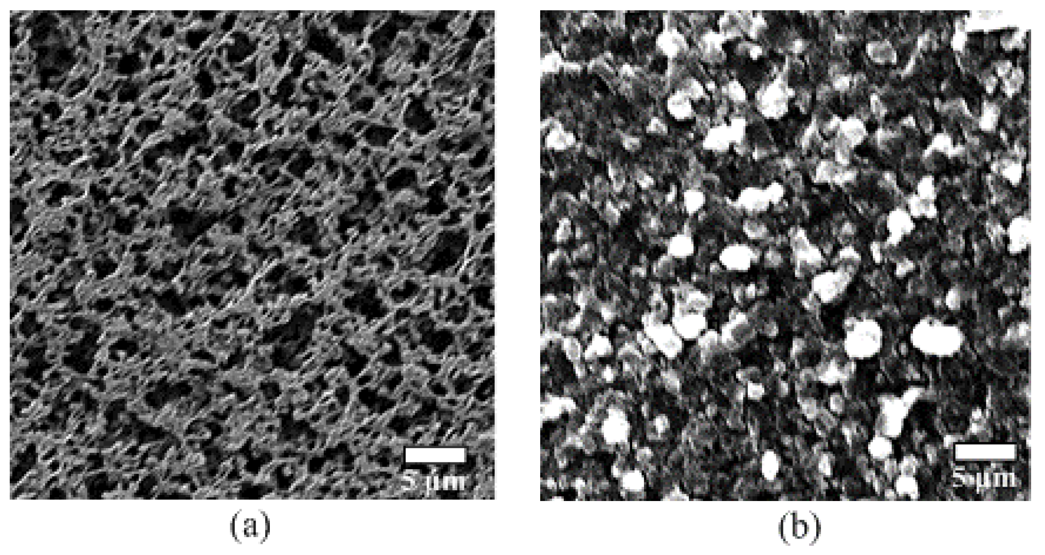 Sensors 19 00848 g007 Sensors 19 00848 g007