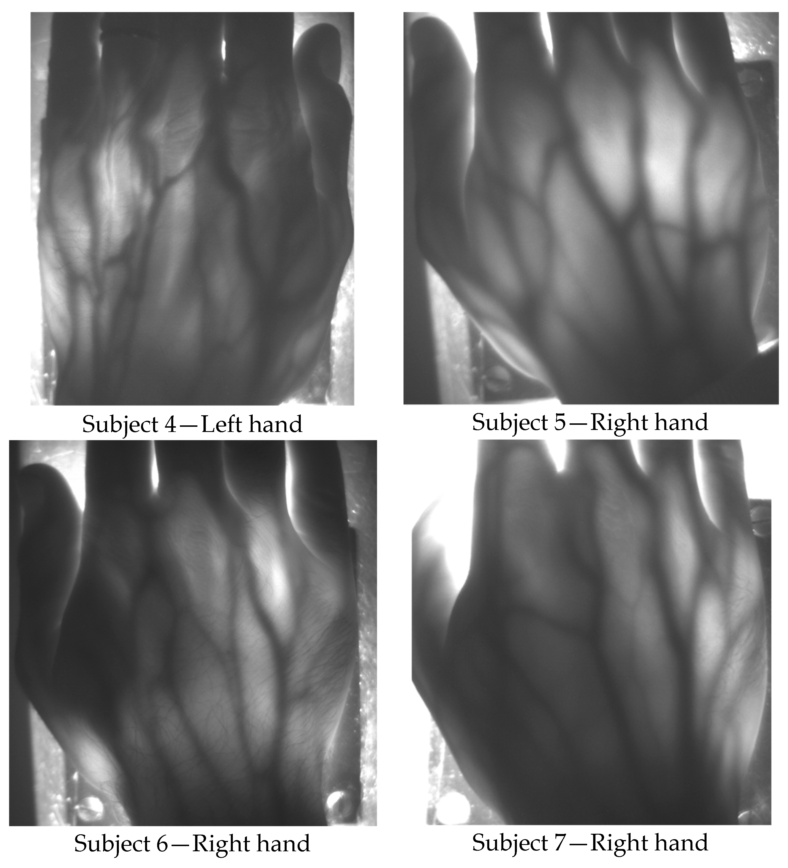 Sensors 19 00851 g005