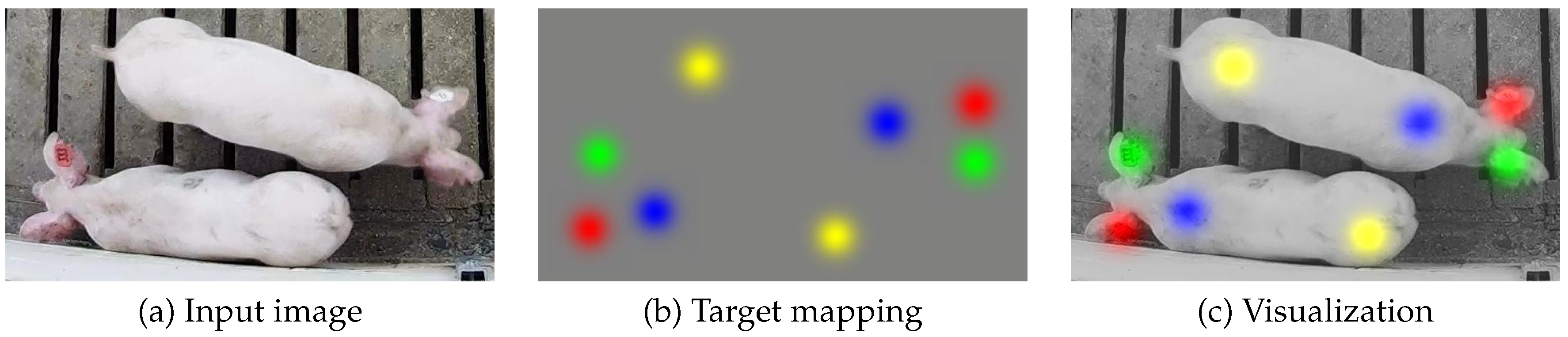 Sensors 19 00852 g001