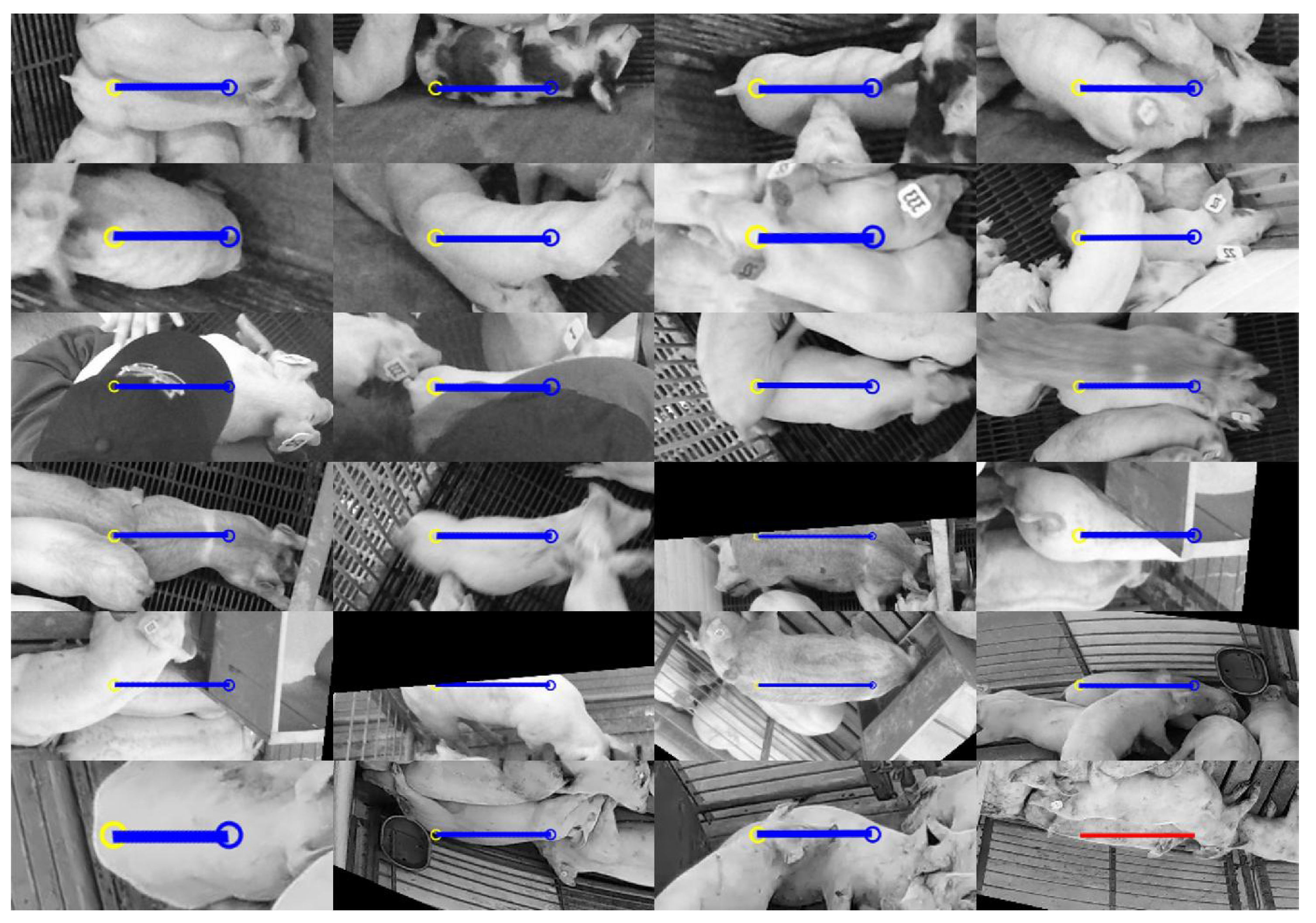 Sensors 19 00852 g013