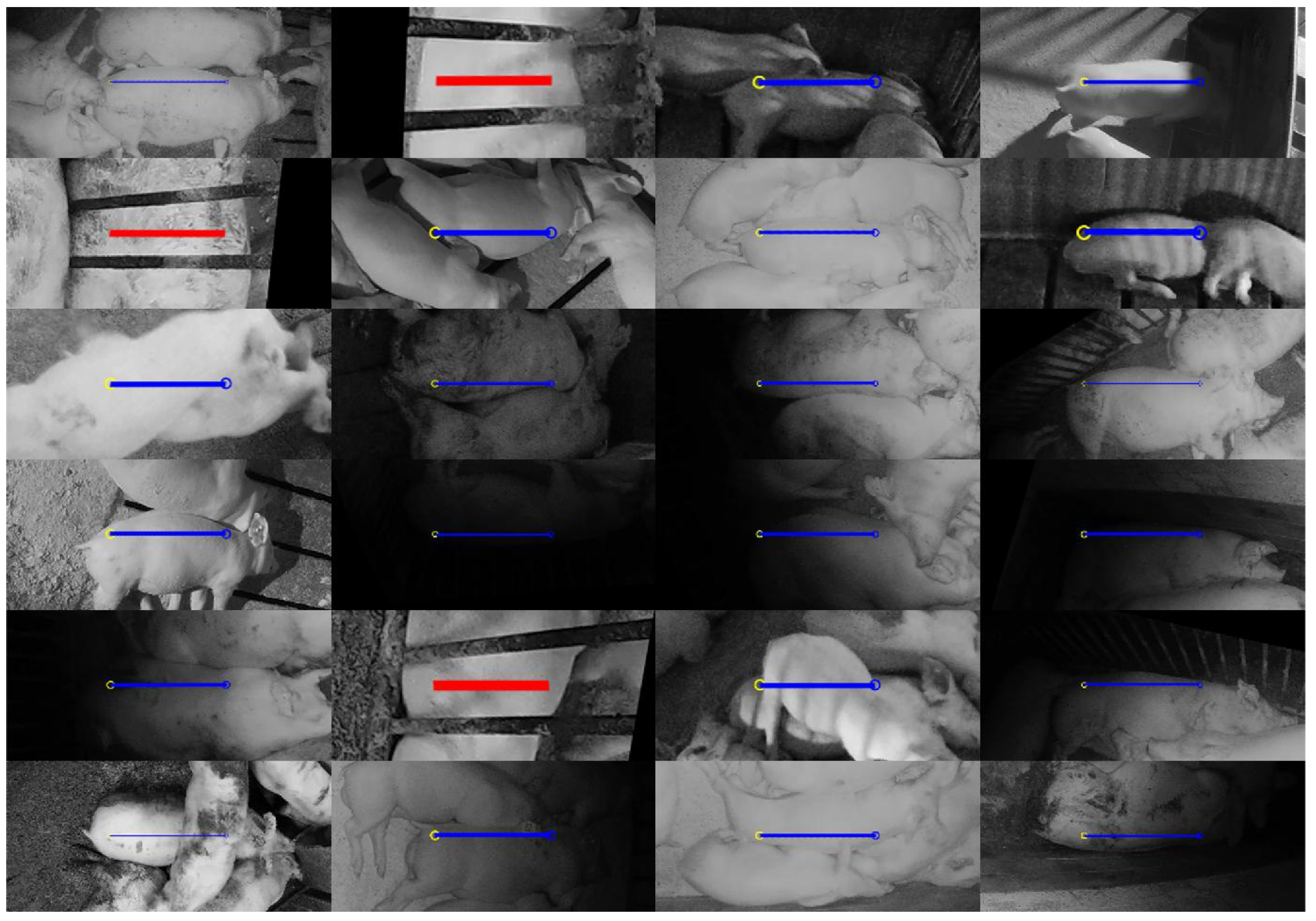 Sensors 19 00852 g014