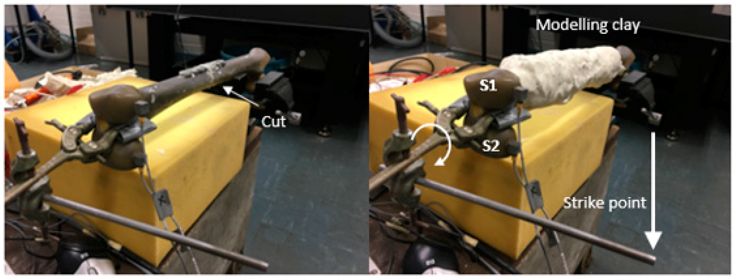 Sensors 19 00857 g003