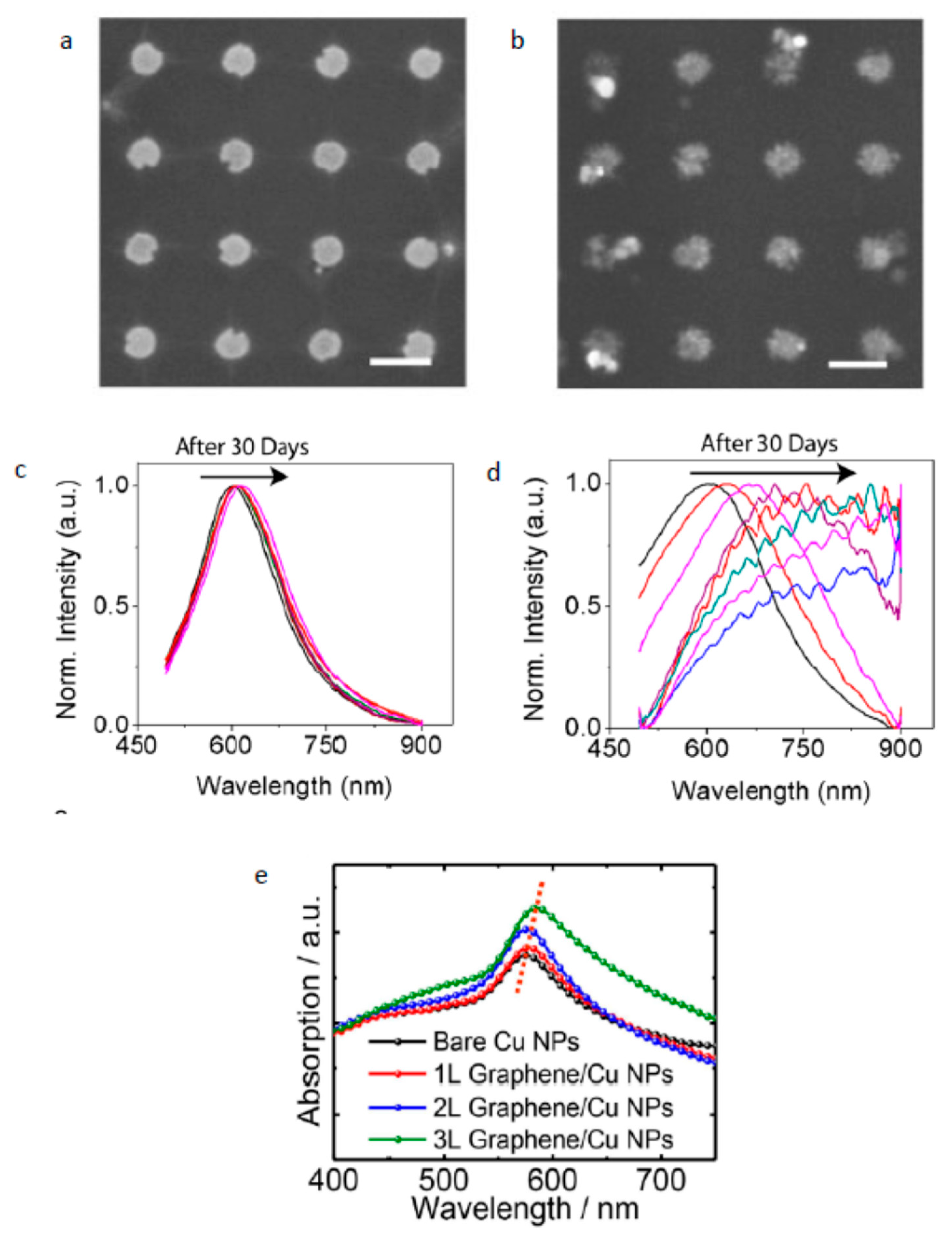 Sensors 19 00862 g002