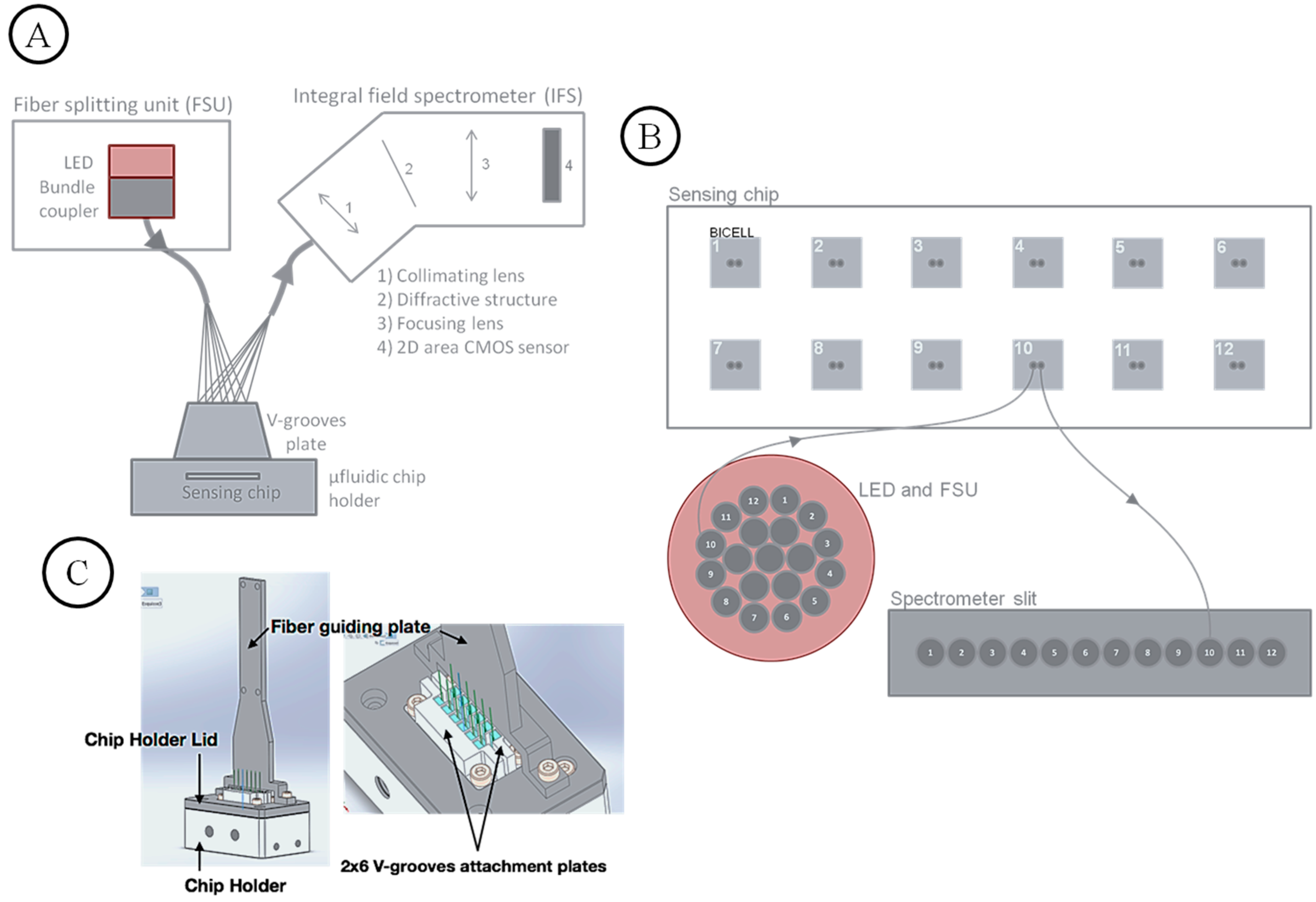 Sensors 19 00878 g006