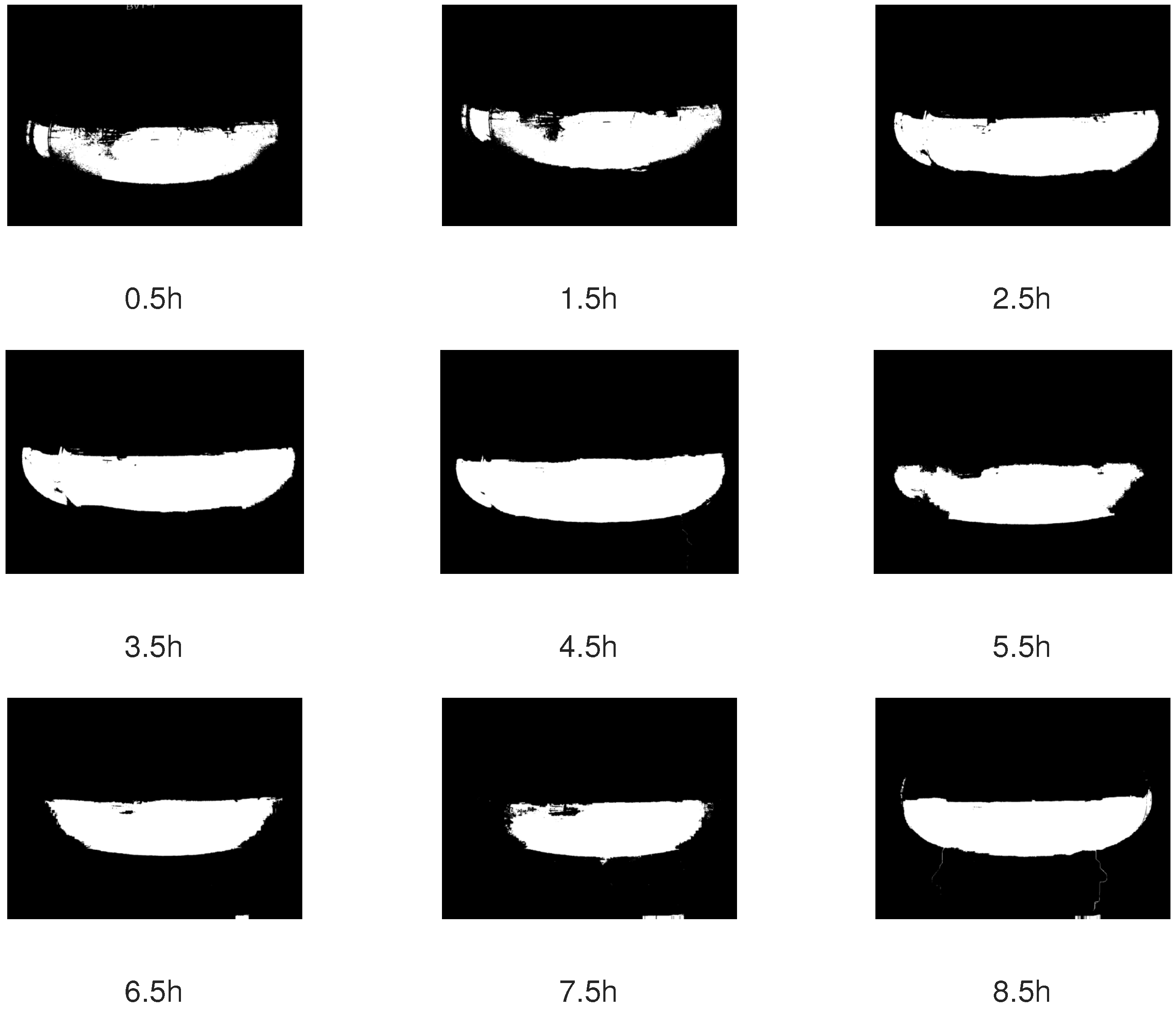 Sensors 19 00894 g005