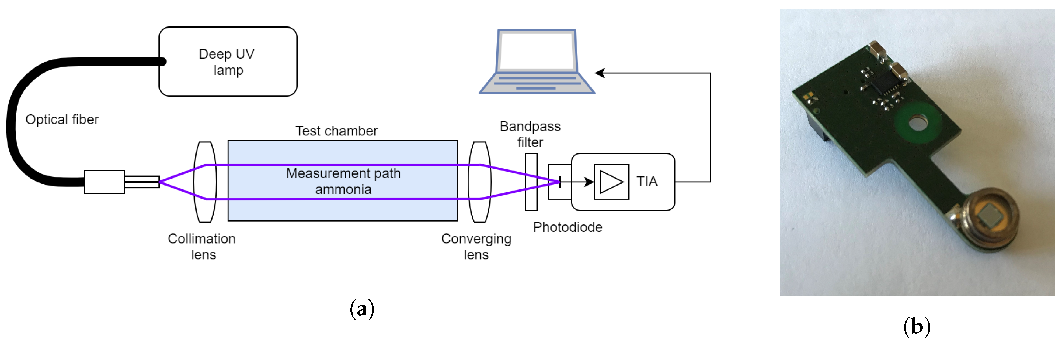 Sensors 19 00896 g002