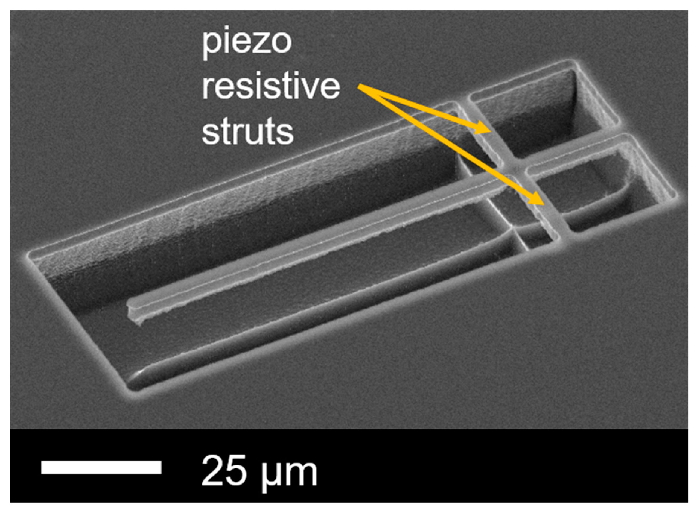 Sensors 19 00901 g001