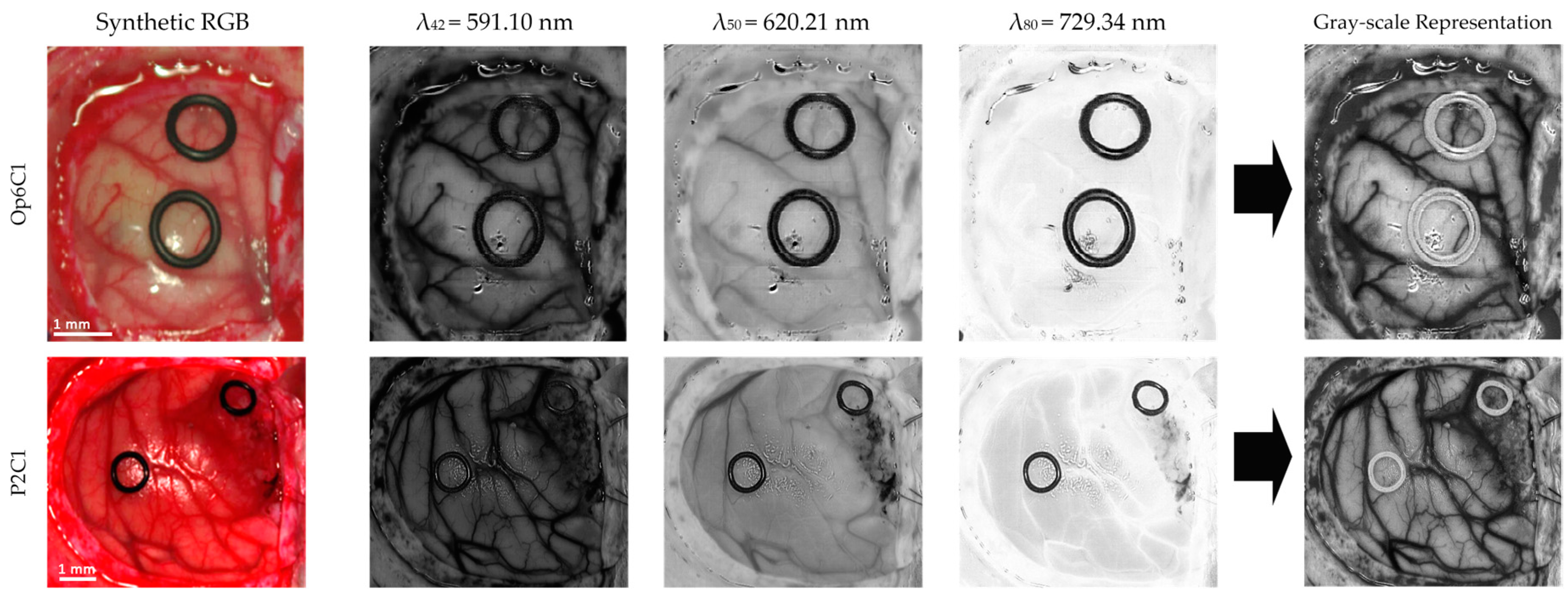 Sensors 19 00920 g003