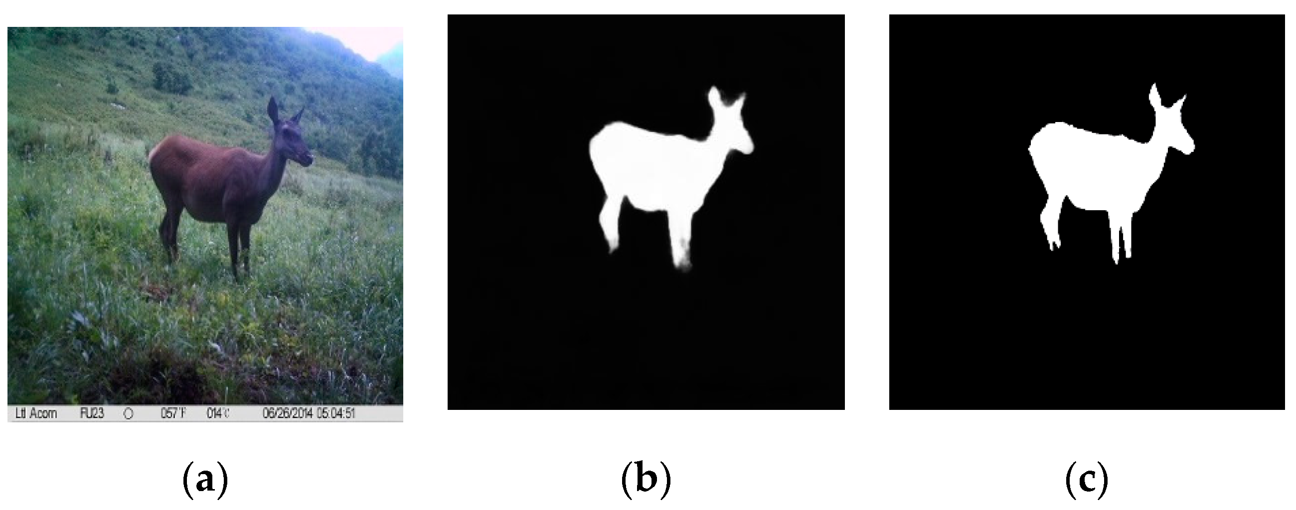 Sensors 19 00946 g006 Sensors 19 00946 g006