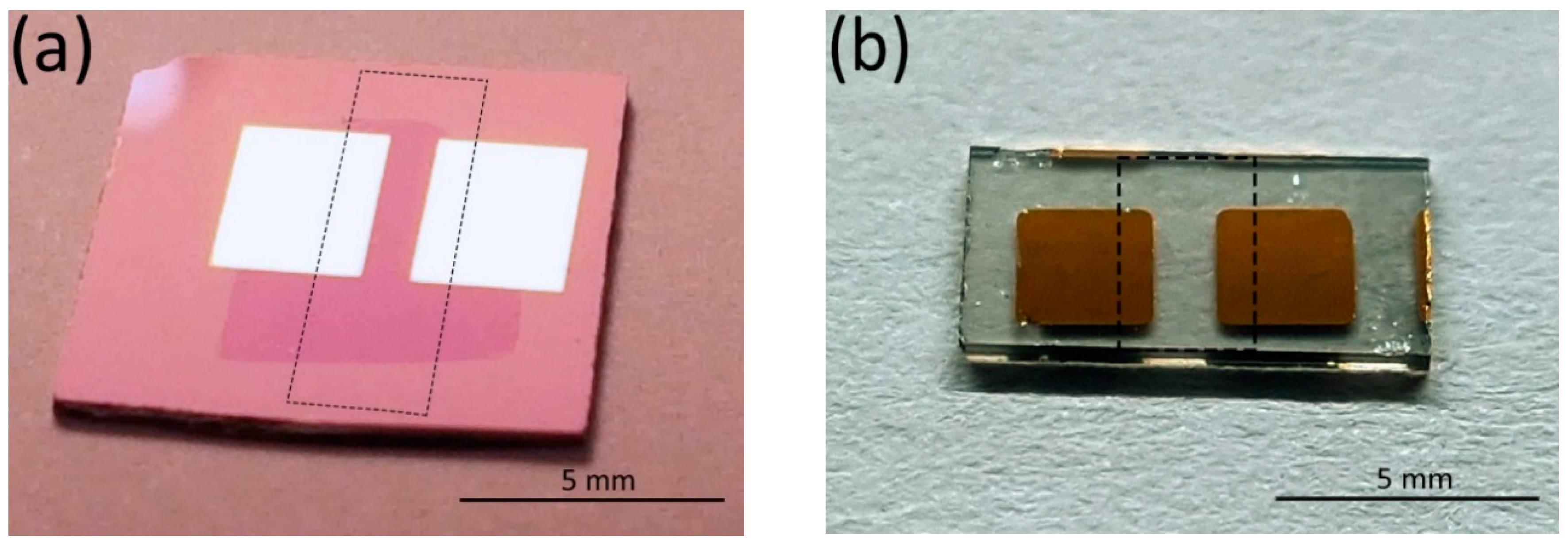 Sensors 19 00951 g001 Sensors 19 00951 g001