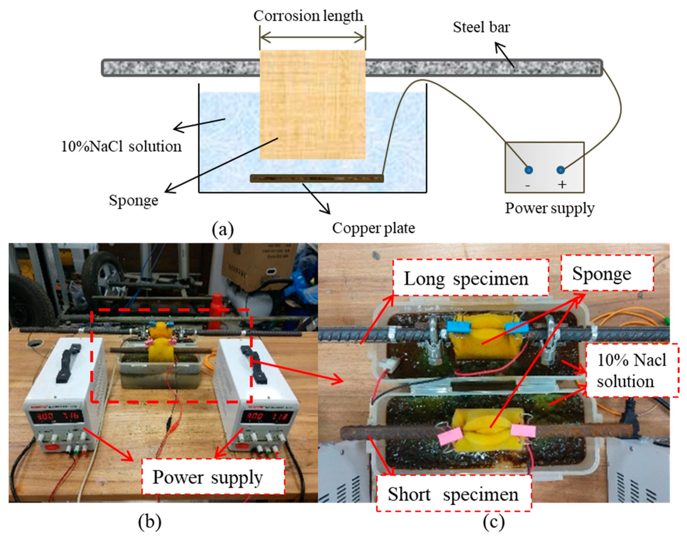Sensors 19 00954 g008