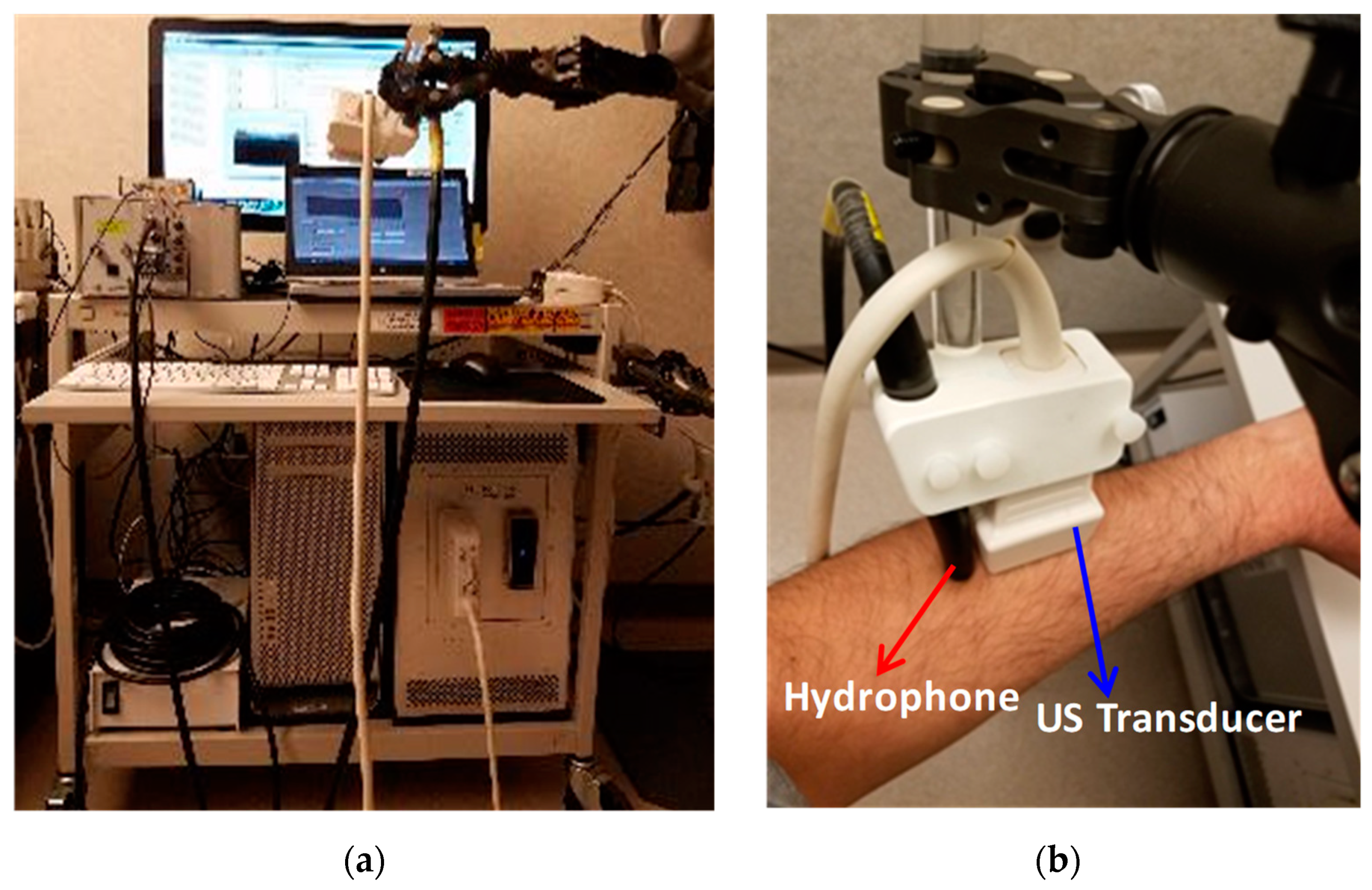 Sensors 19 00955 g001 Sensors 19 00955 g001